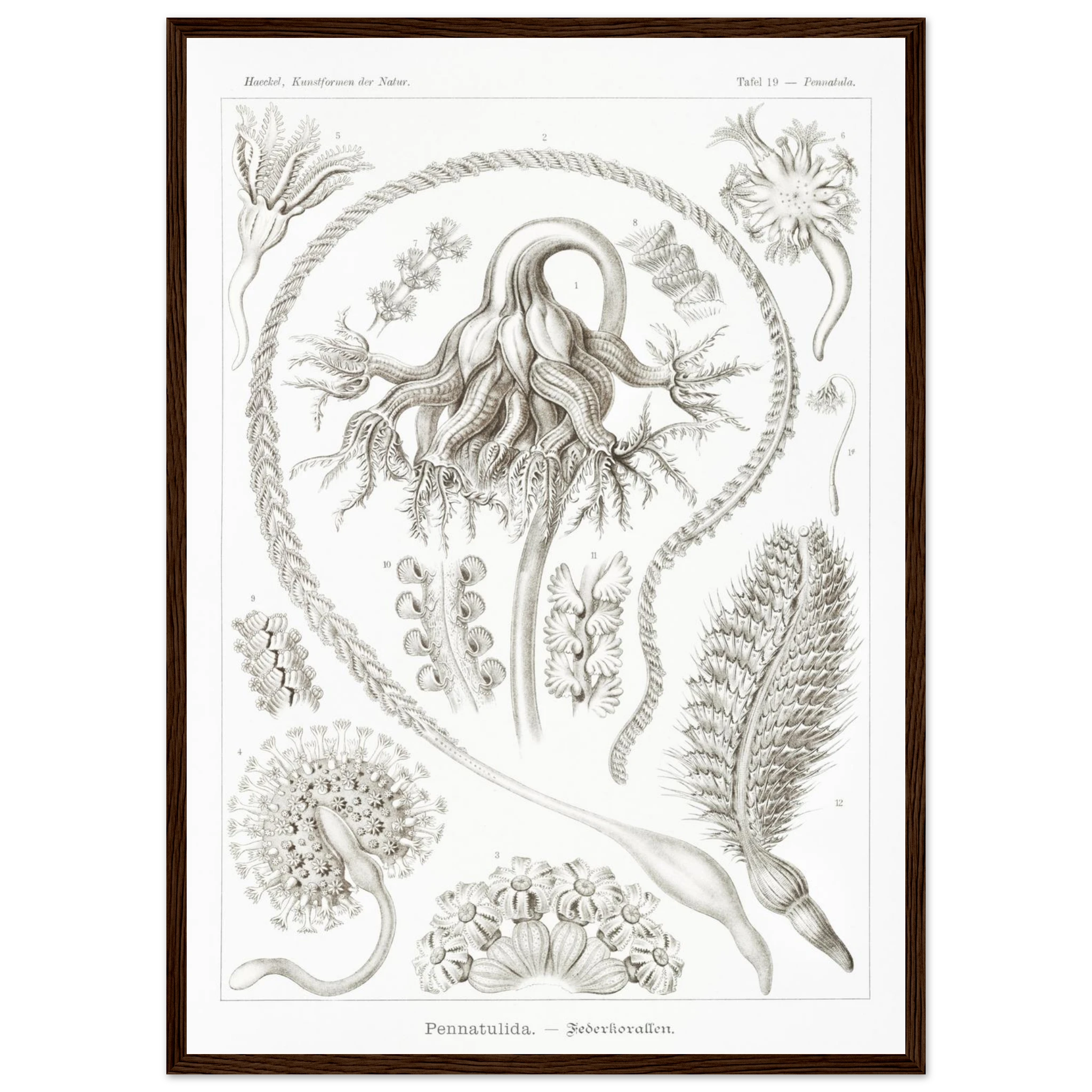 ad12ae5d-3c57-46b2-b3bf-79363c9e7162