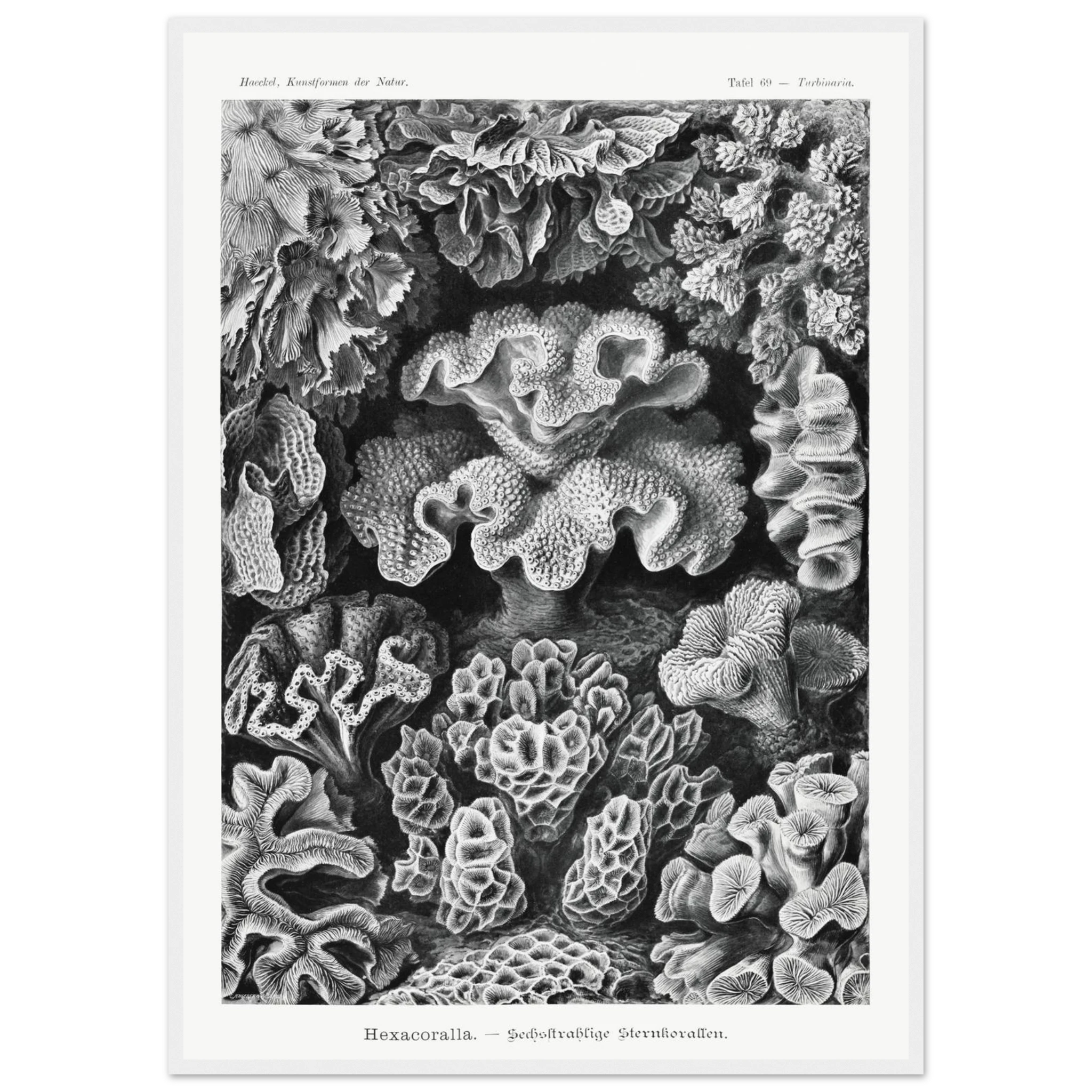 ad26d5a1-eb2c-4b04-82cb-b7e204bed29e