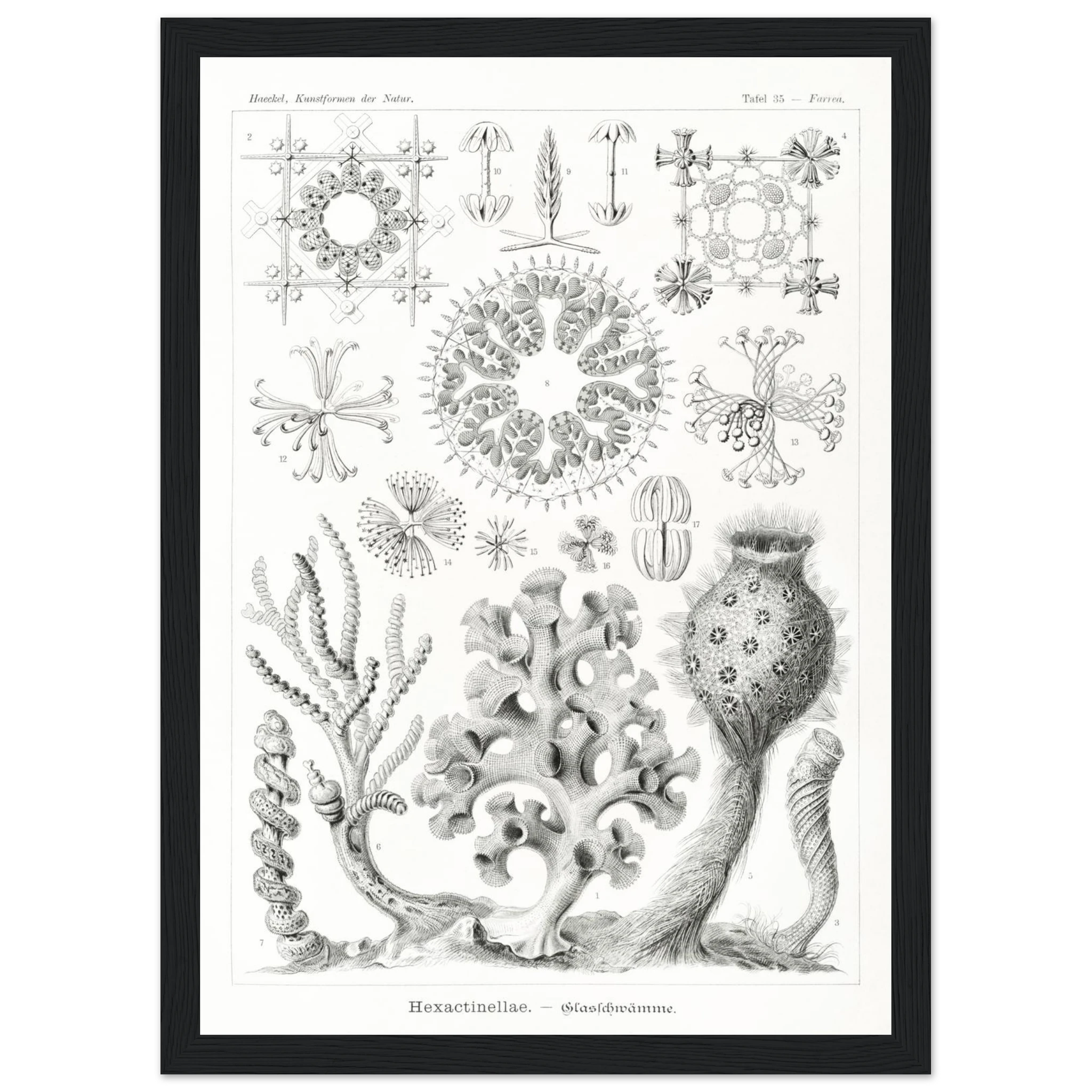 add200cd-3fa3-4409-91a4-2fea1bc5fd08