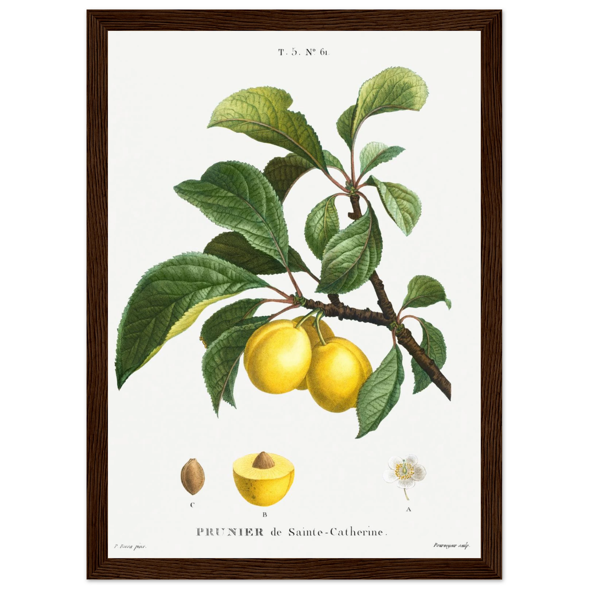 ade81d34-ecc3-48fe-85ec-503bceb24dfb