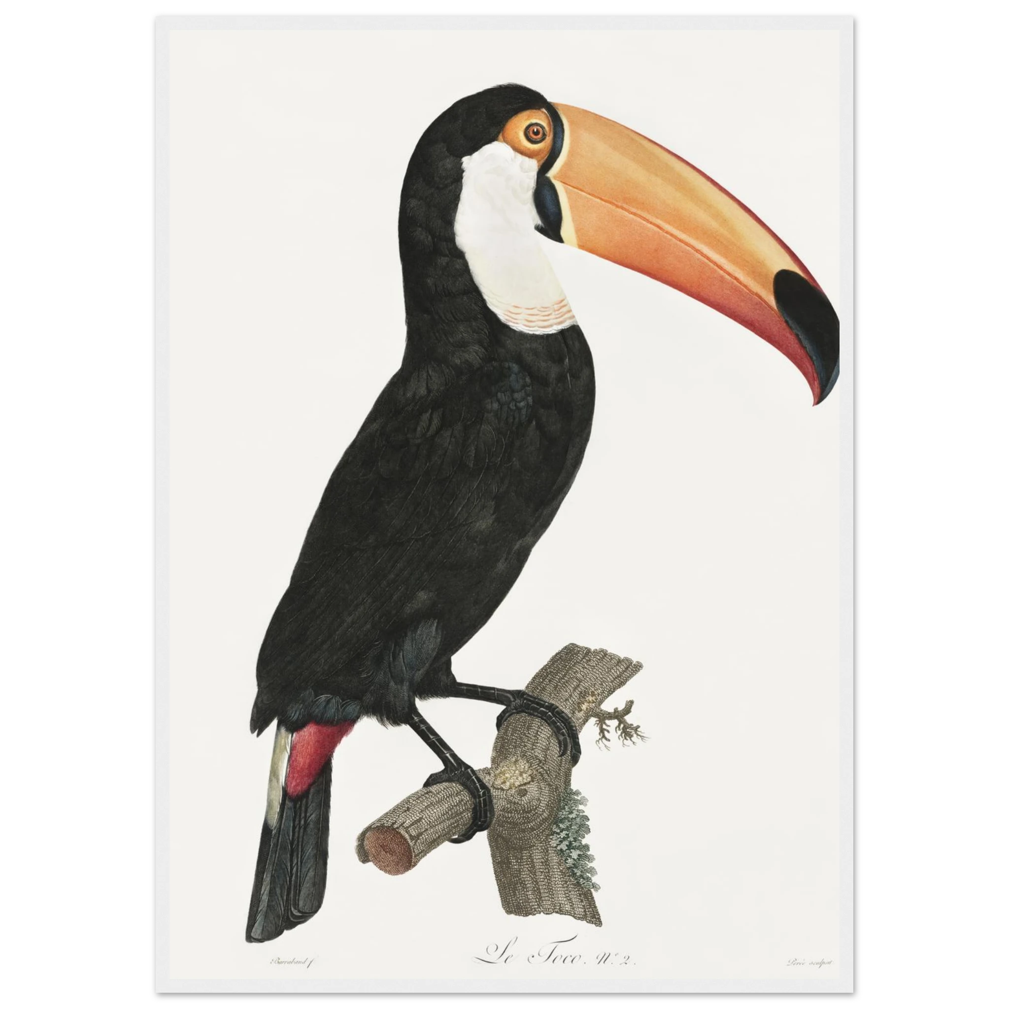 ae359e53-704c-43a2-9562-8fe82ccbb336