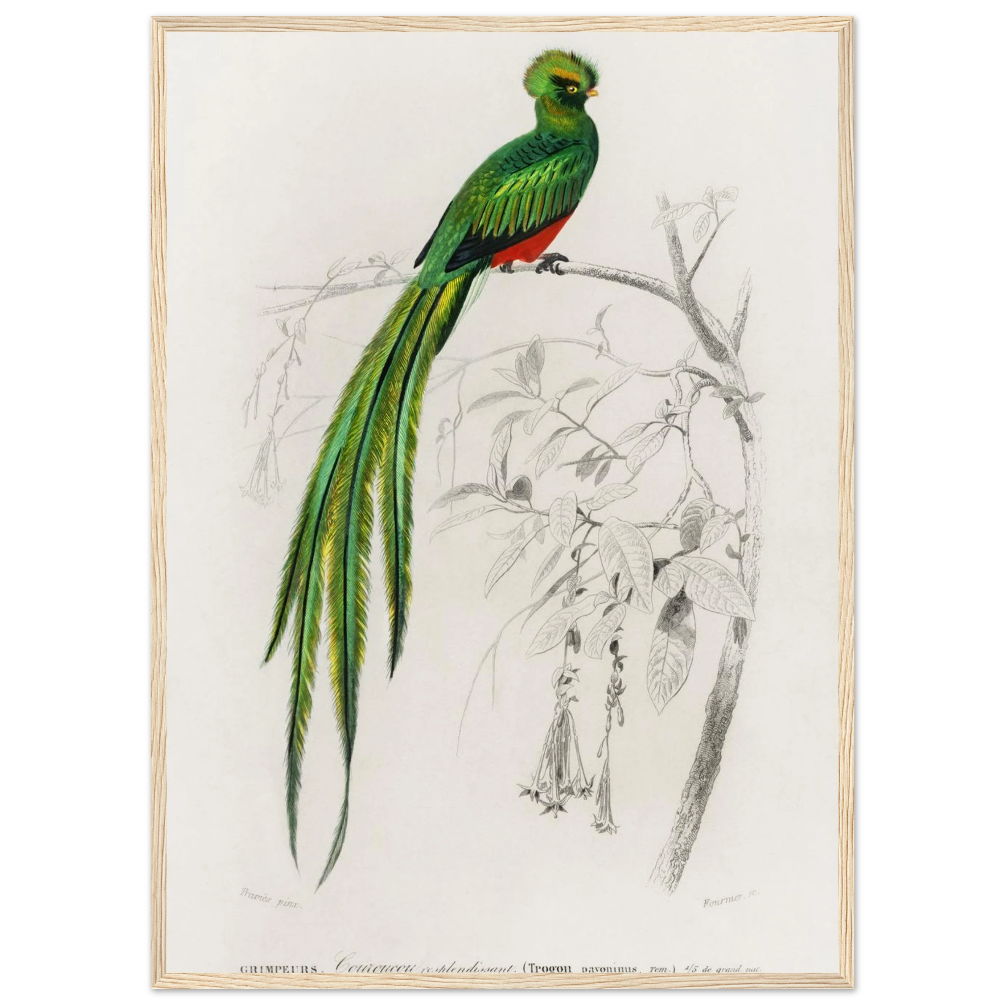 ae5b8b9f-de6a-4238-b5c7-0e80095fe6c9