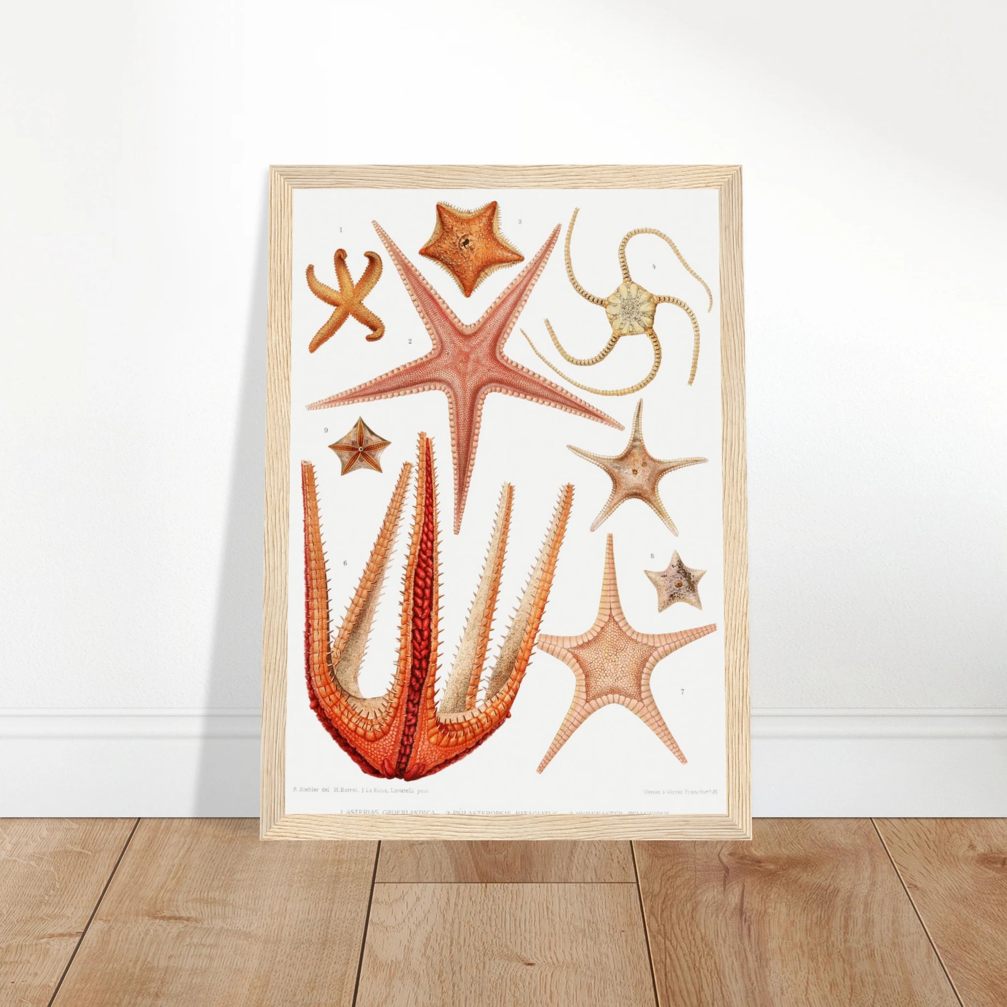 aeaa9cf0-9702-4025-a847-a98e190d348c