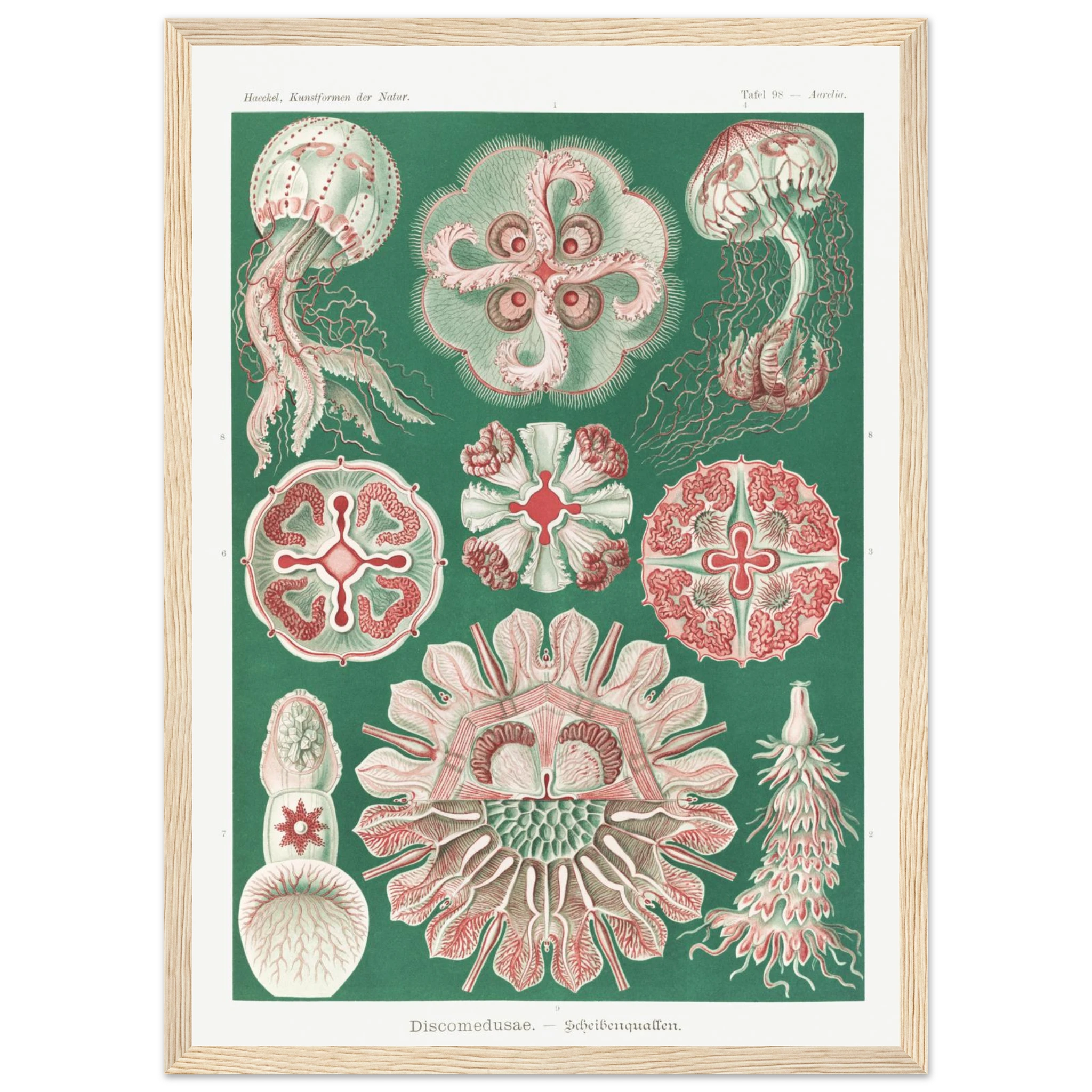 aecedfed-d461-4596-a932-c217debbf3c8