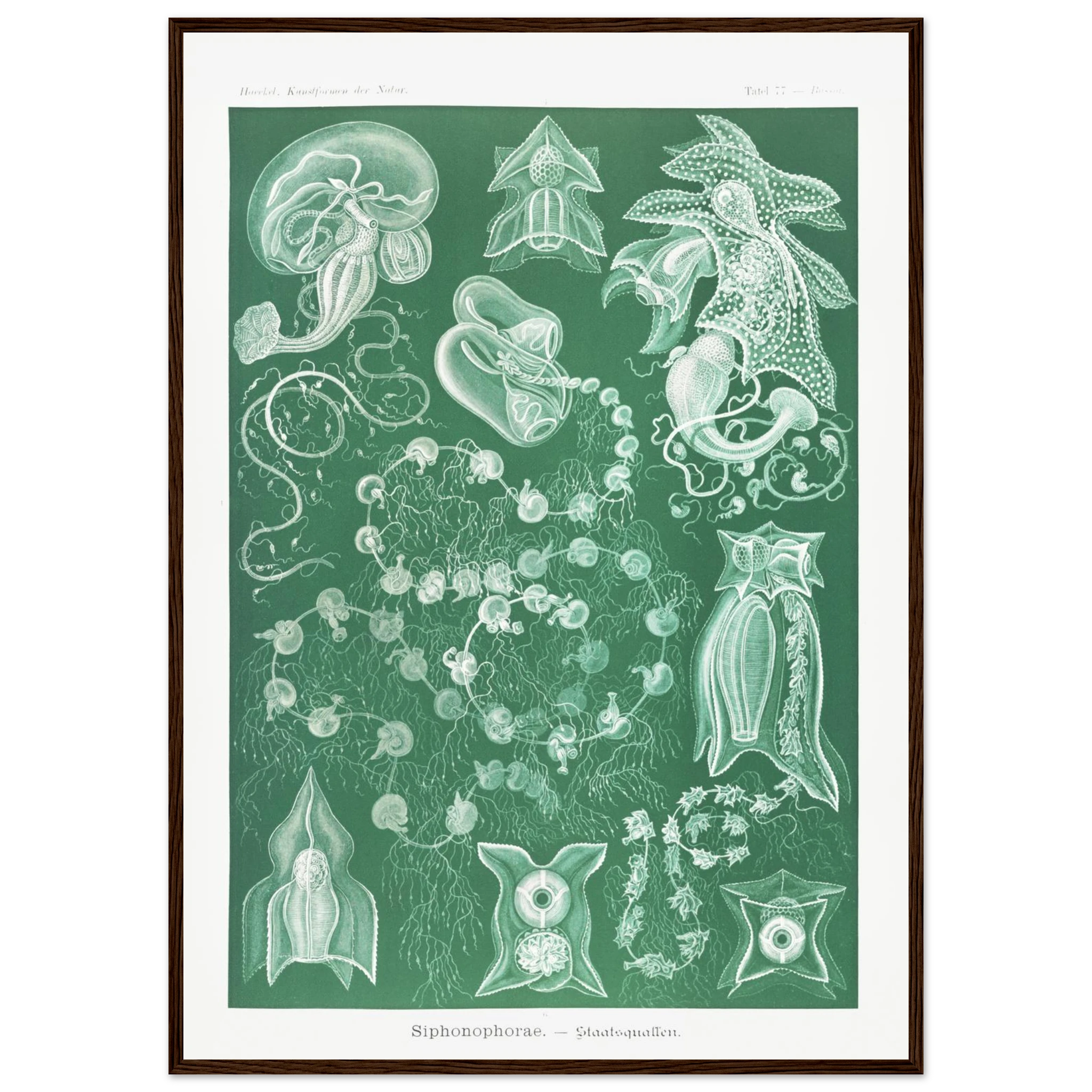 af3a6351-0ad6-41de-afeb-e1d50e5f57b5