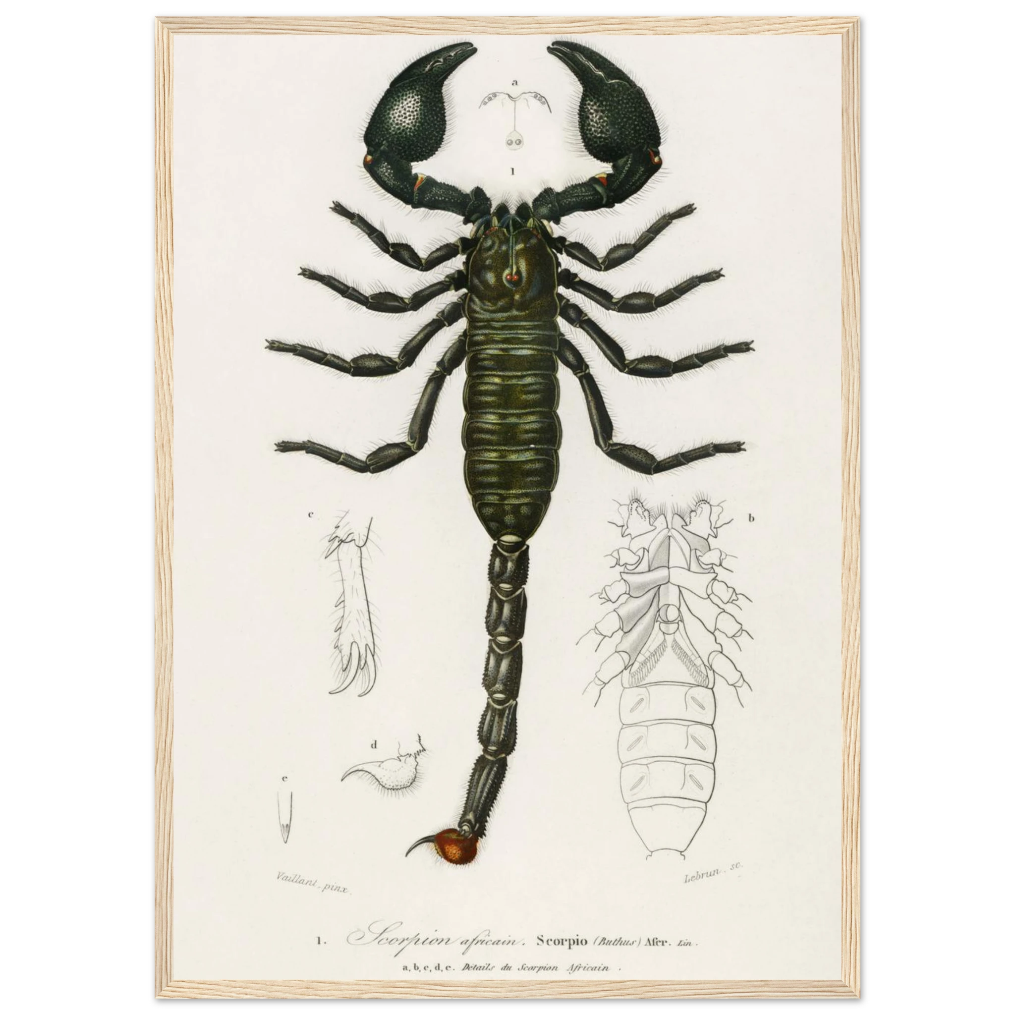 af62b785-94ae-4bda-8ef5-77da3e591371