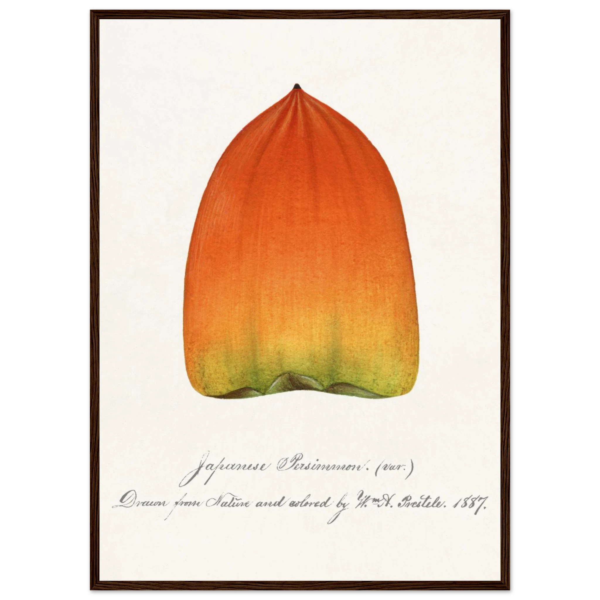 af63e17f-a9f3-40ce-a149-4fca9dd7ac64