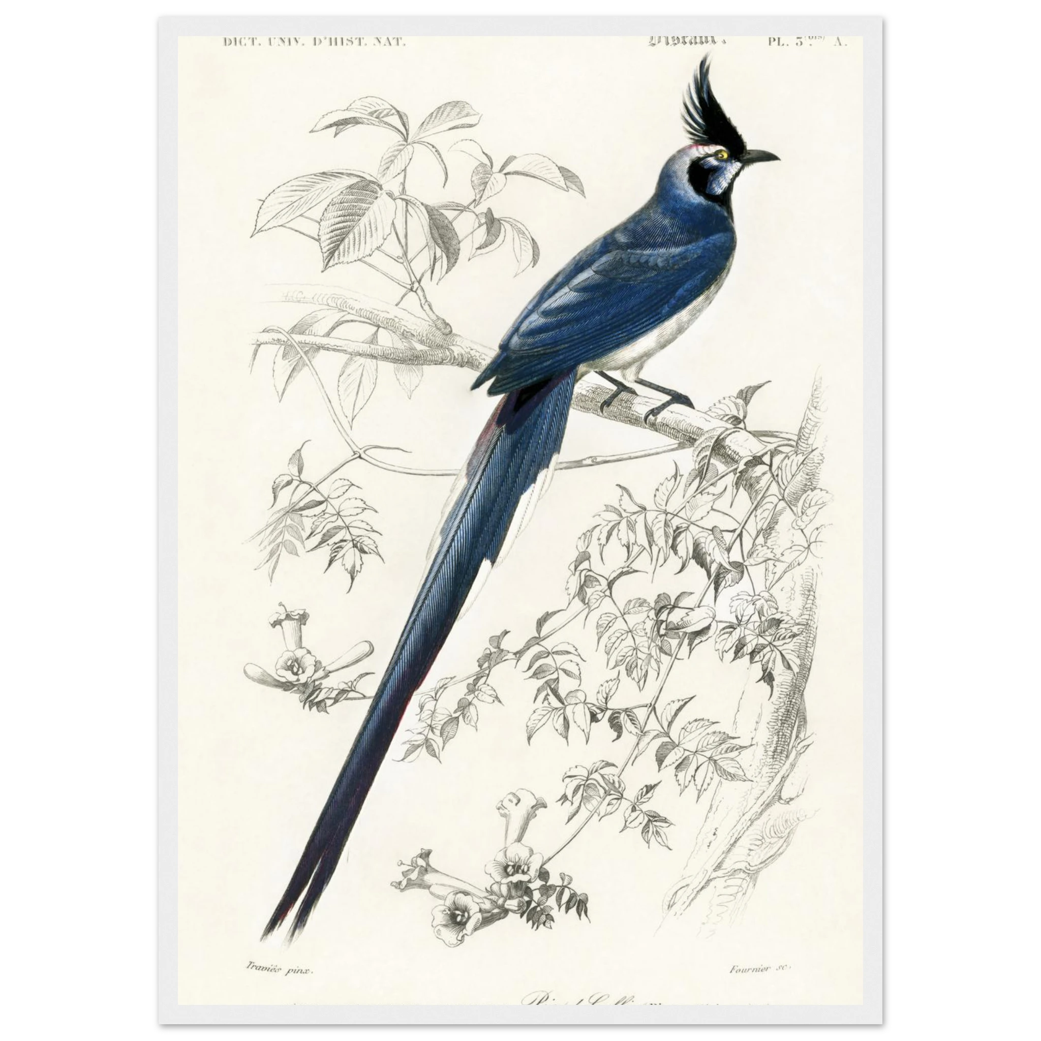 af70d902-5deb-4aee-8840-4fb4ae4b4613