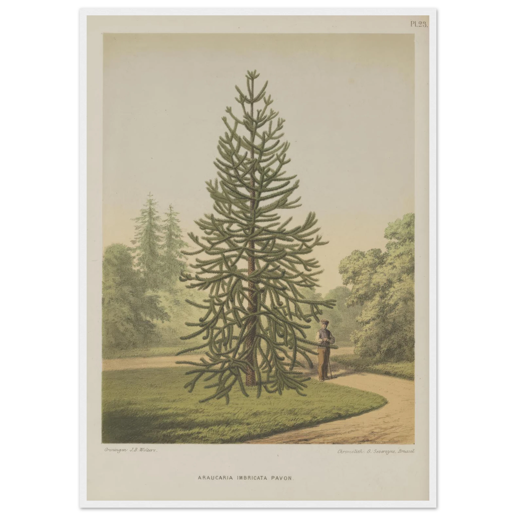 afbd08c7-0bc5-41b7-8f2b-9ea14c5c4f66