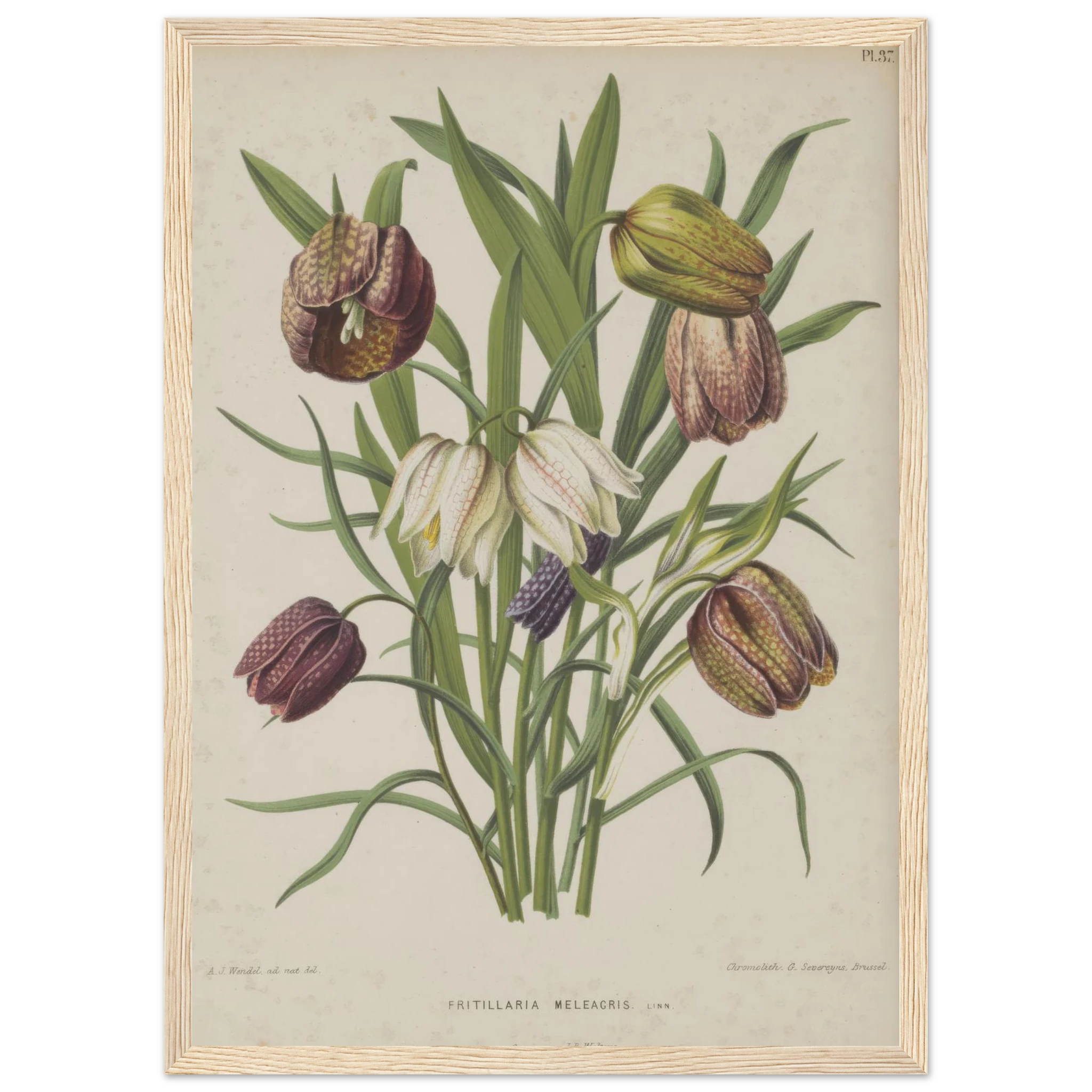 aff75f5f-0a40-456c-924e-6f3e2e03bd87