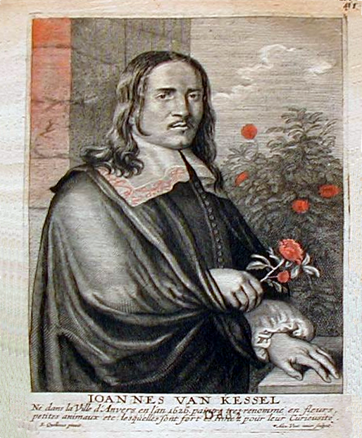 Jan Van Kessel The Elder portrait