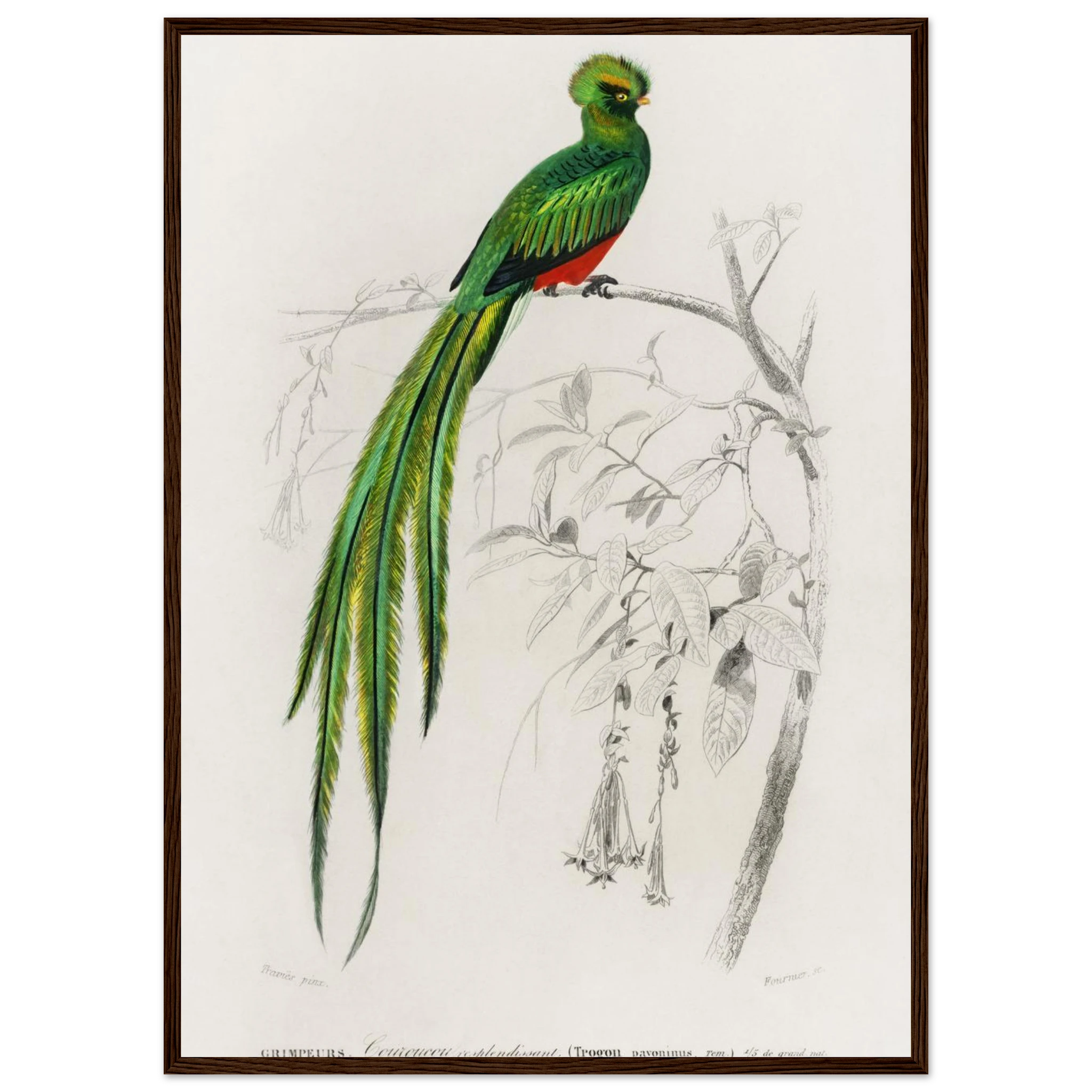 b019e8f8-2c68-4163-afd7-7c43906b46bb