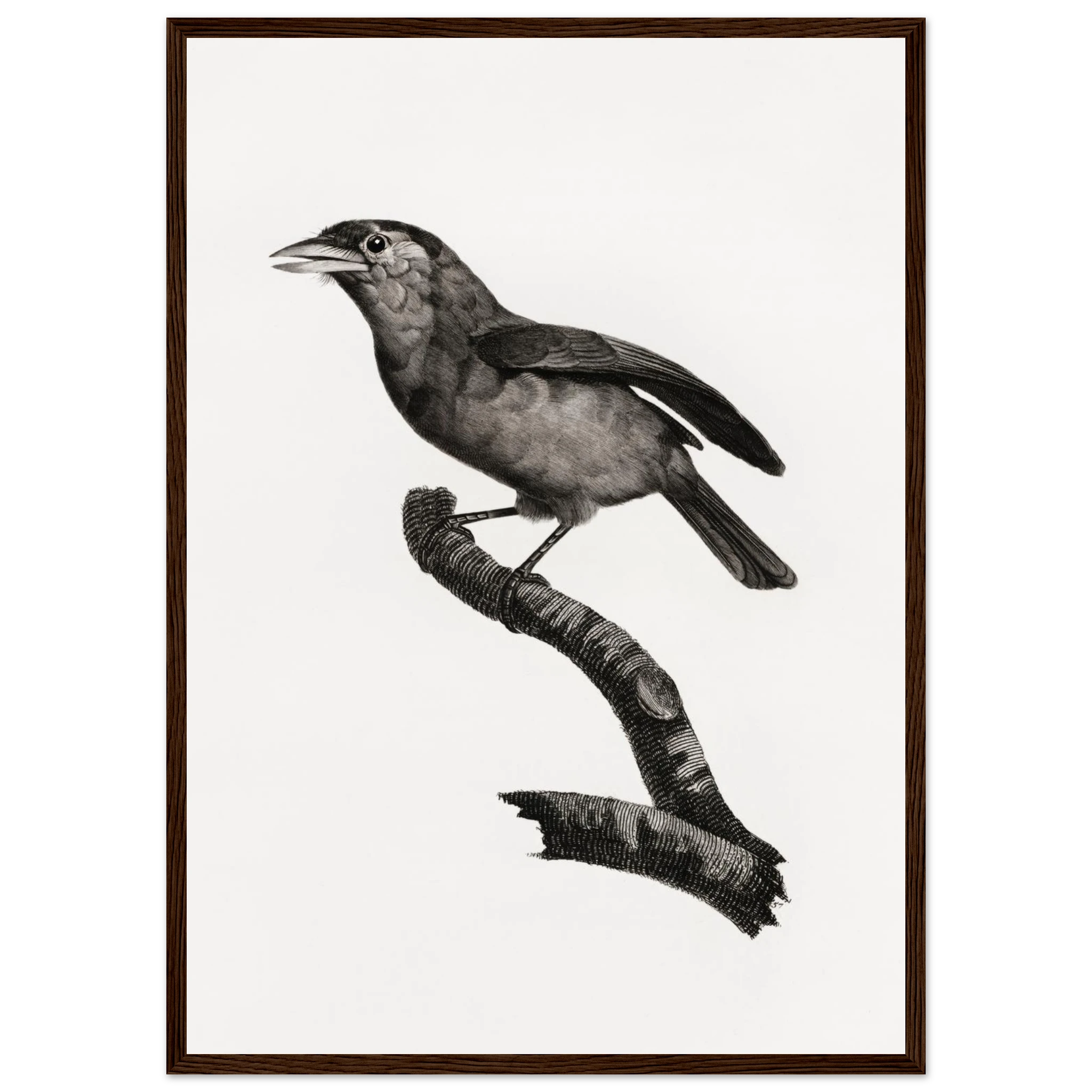 b033e620-259c-4c6d-8f76-93b3f693f546