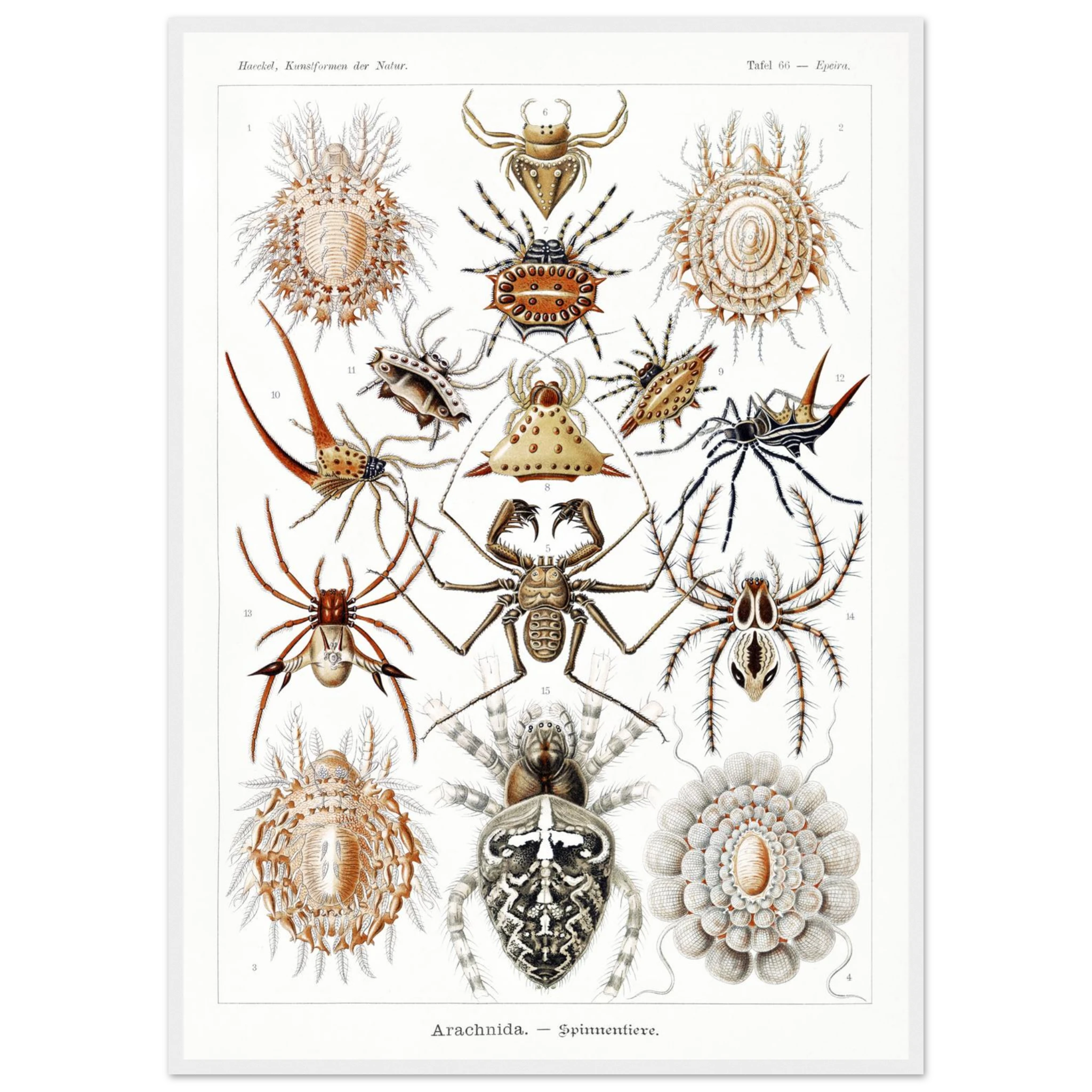 b083d009-8be1-42bd-846a-31085242ceb7