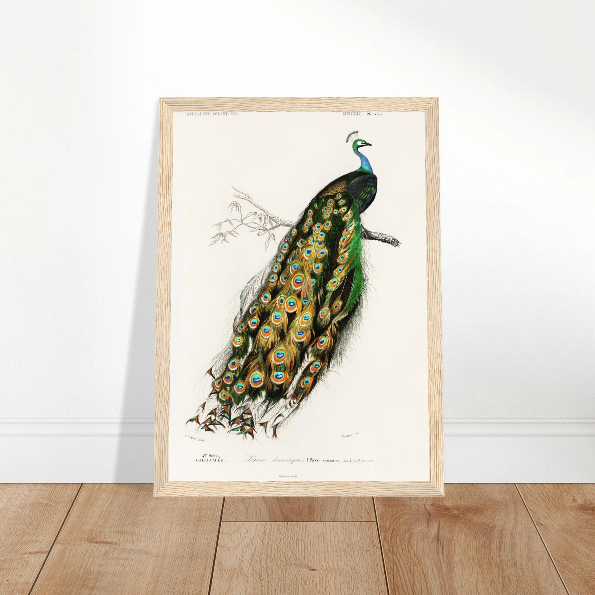 b085ec66-1d2a-4127-9f68-51370ef5de4c