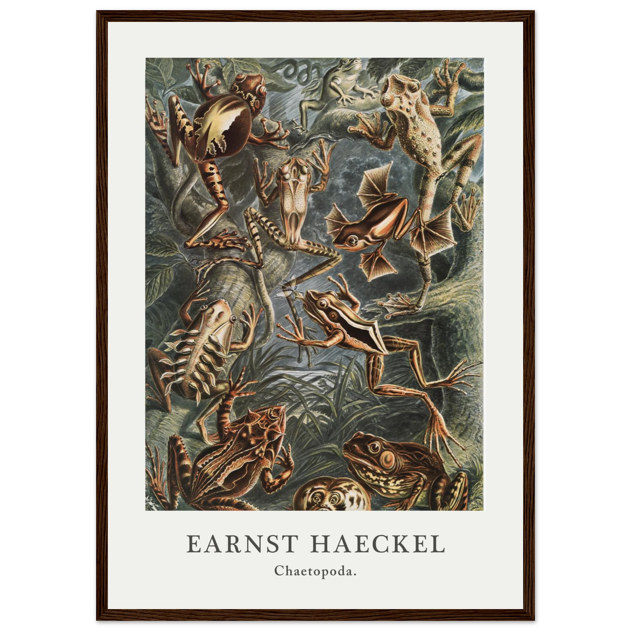 b11c4597-e095-4d03-9453-9b9d92982a76