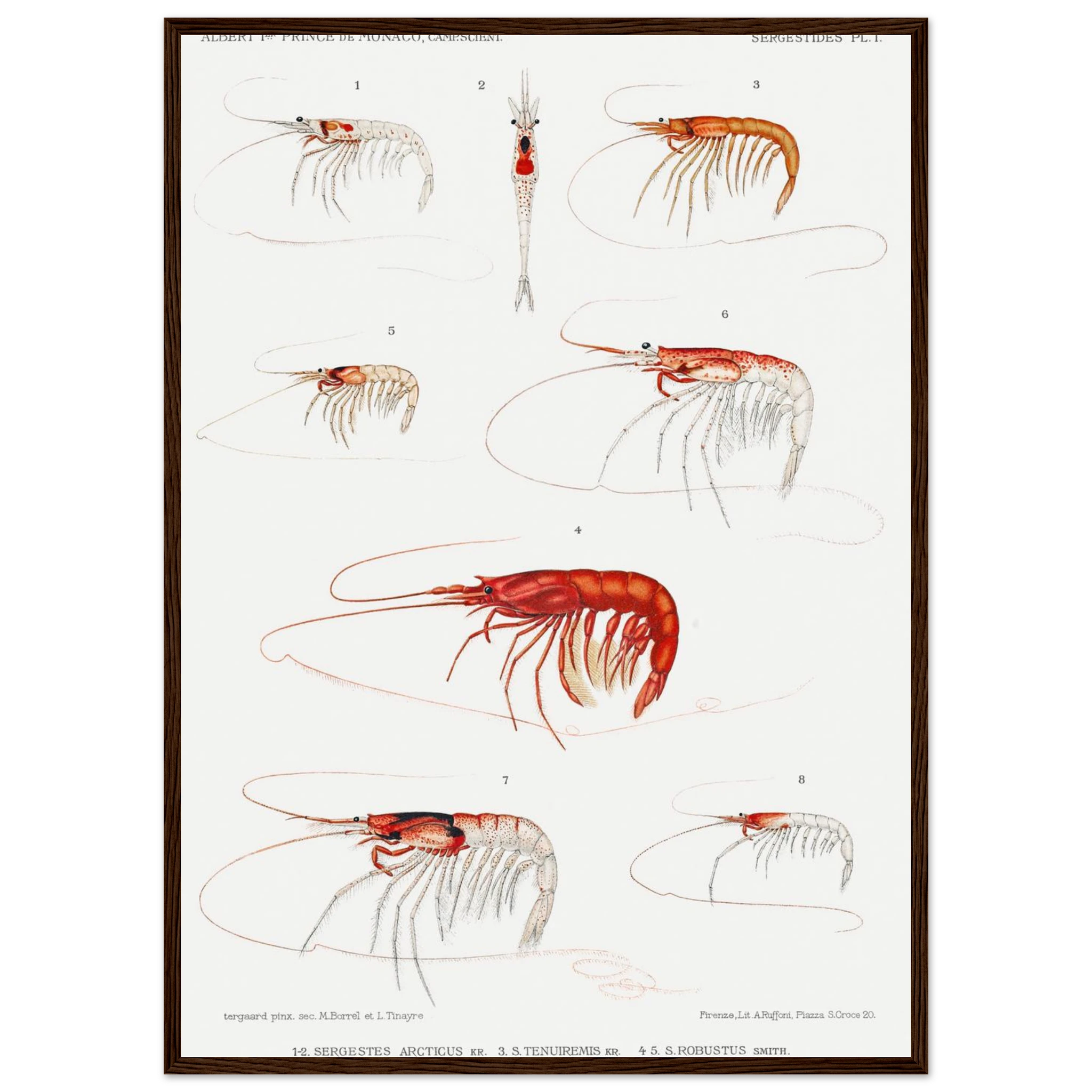 b171e754-2529-4b22-9faf-b3a72490015b