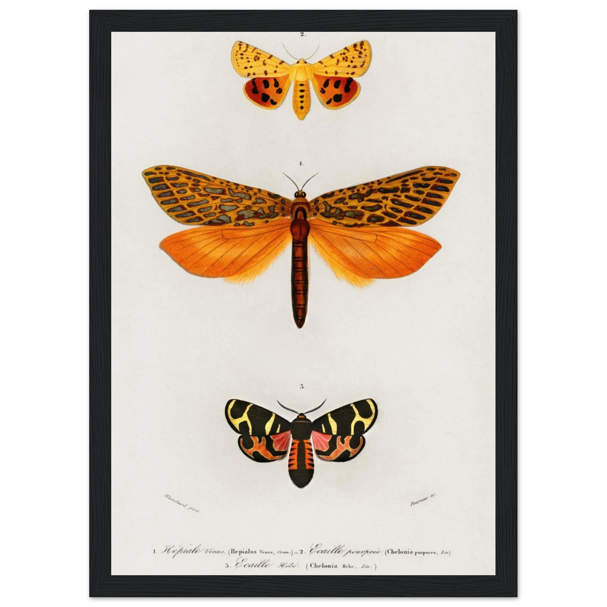 b18245c2-08a8-49a5-9a91-409df0fdbd36