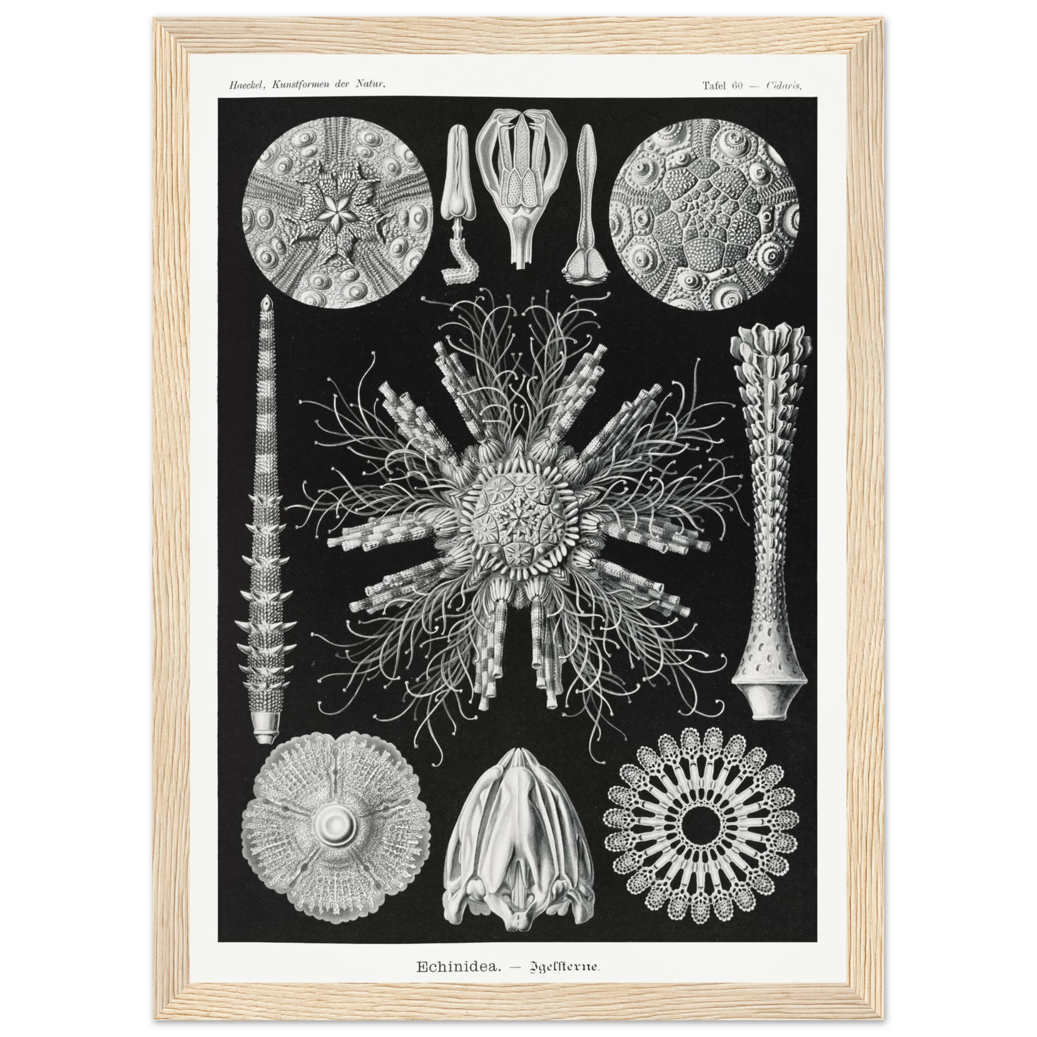 b2848a73-d896-4ec5-9d6b-0591e97f3a84