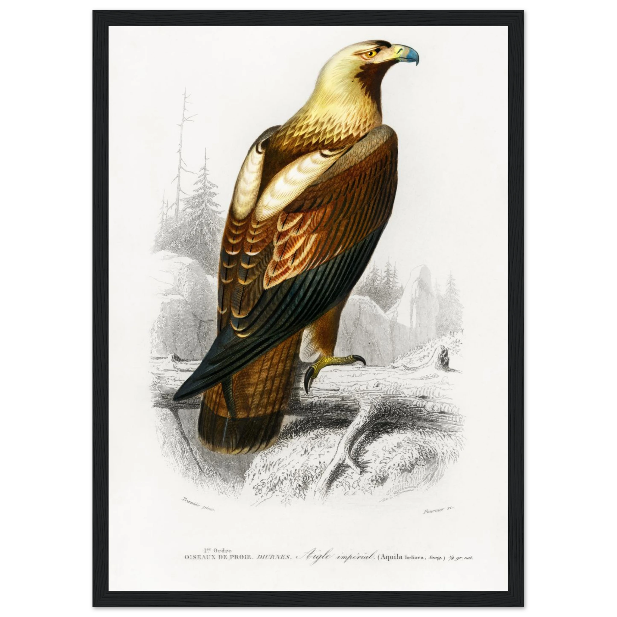 b293f75d-0cc6-4317-84a6-9bc5e6873cf3