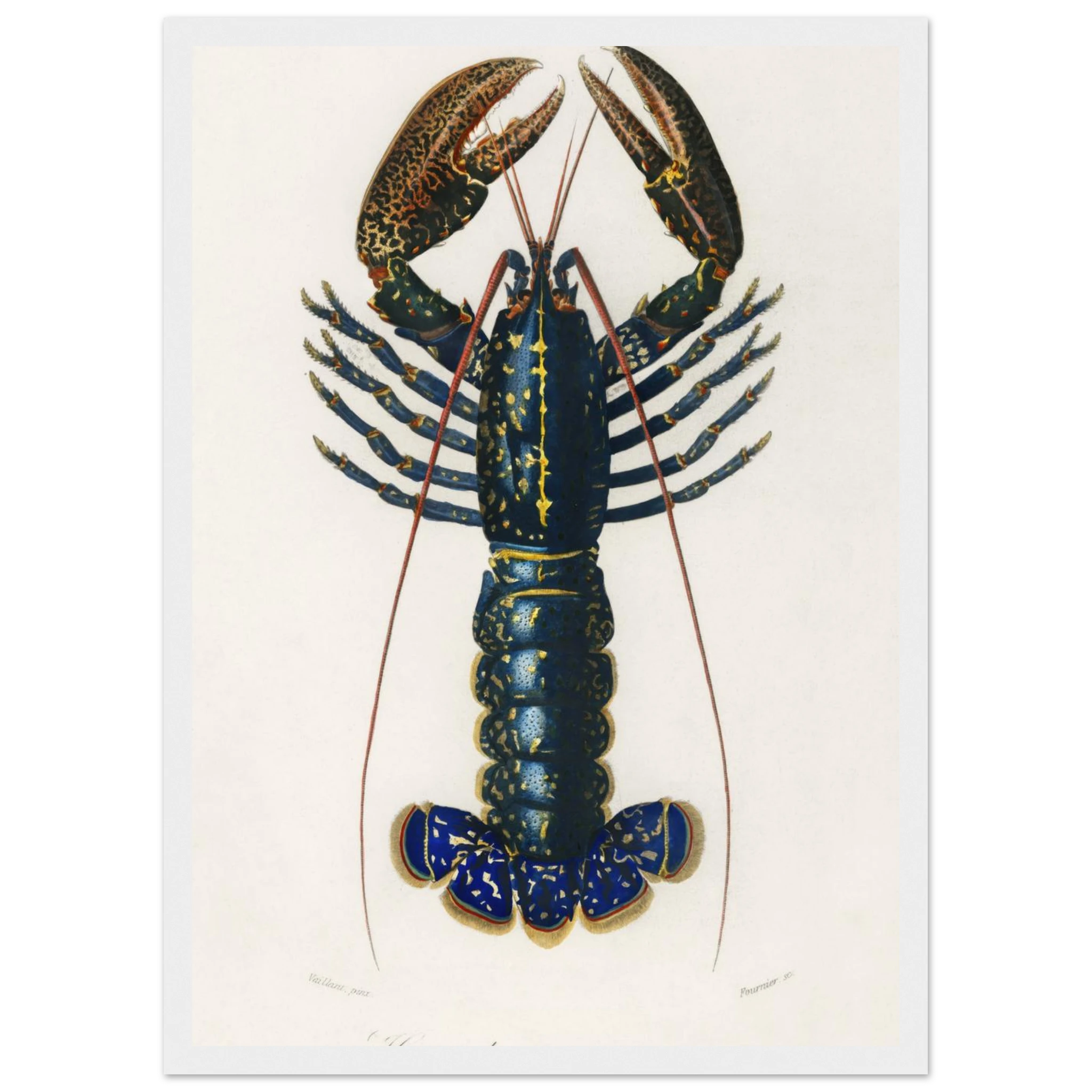 b2dc9ab8-5ad3-459d-801e-d281f7c01e45