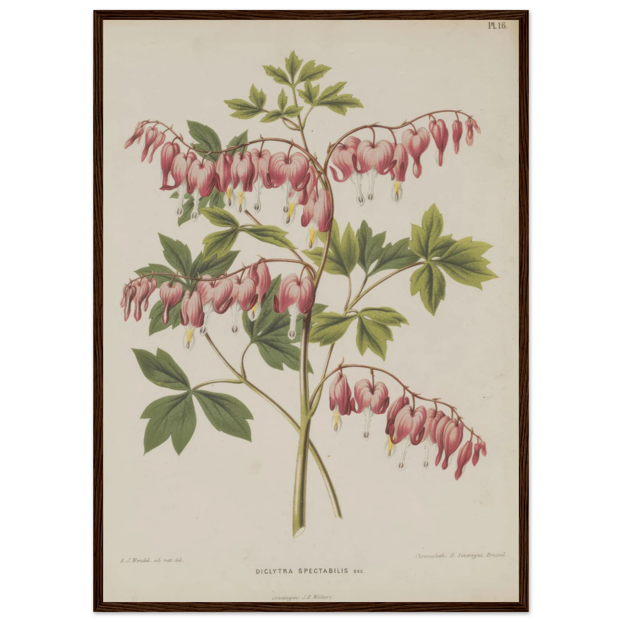 b2e215d7-f418-40a5-b4ff-c3dc8782cbb0