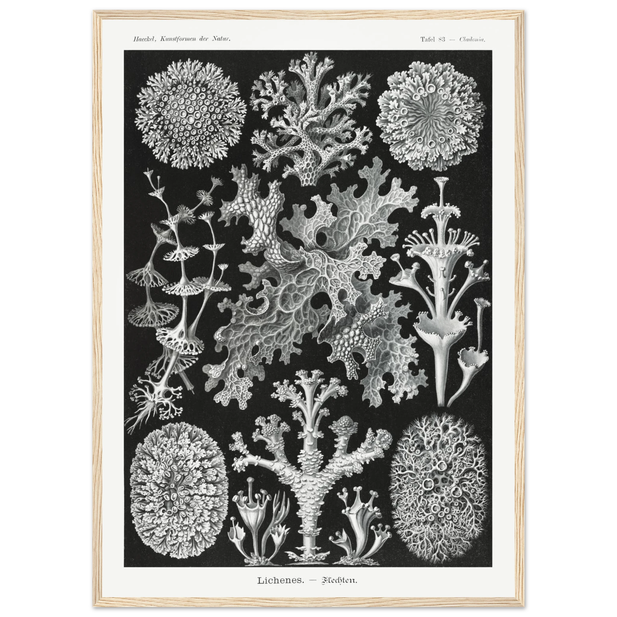 b2e3ed18-ce98-42cf-a893-f8c7a35ada3f