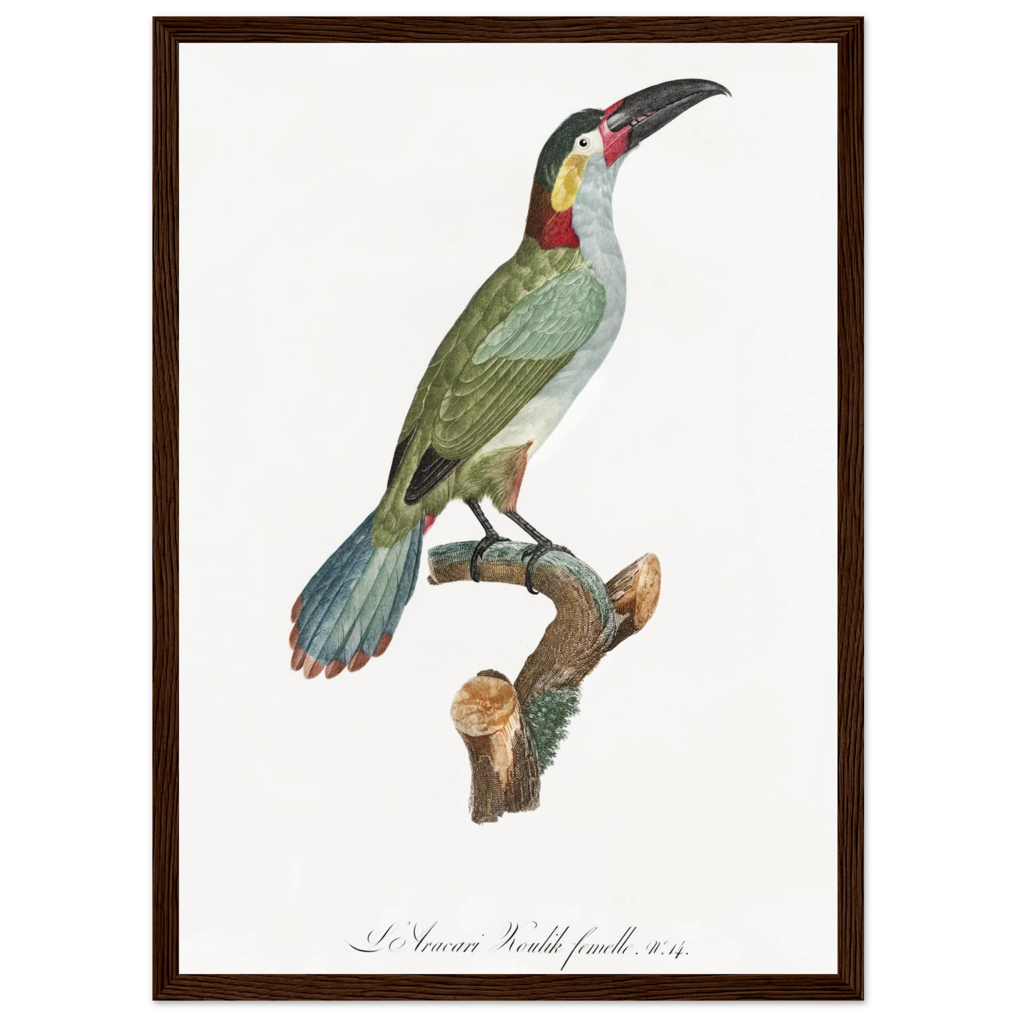 b3111a3a-728b-42fa-986f-33174a20c55d