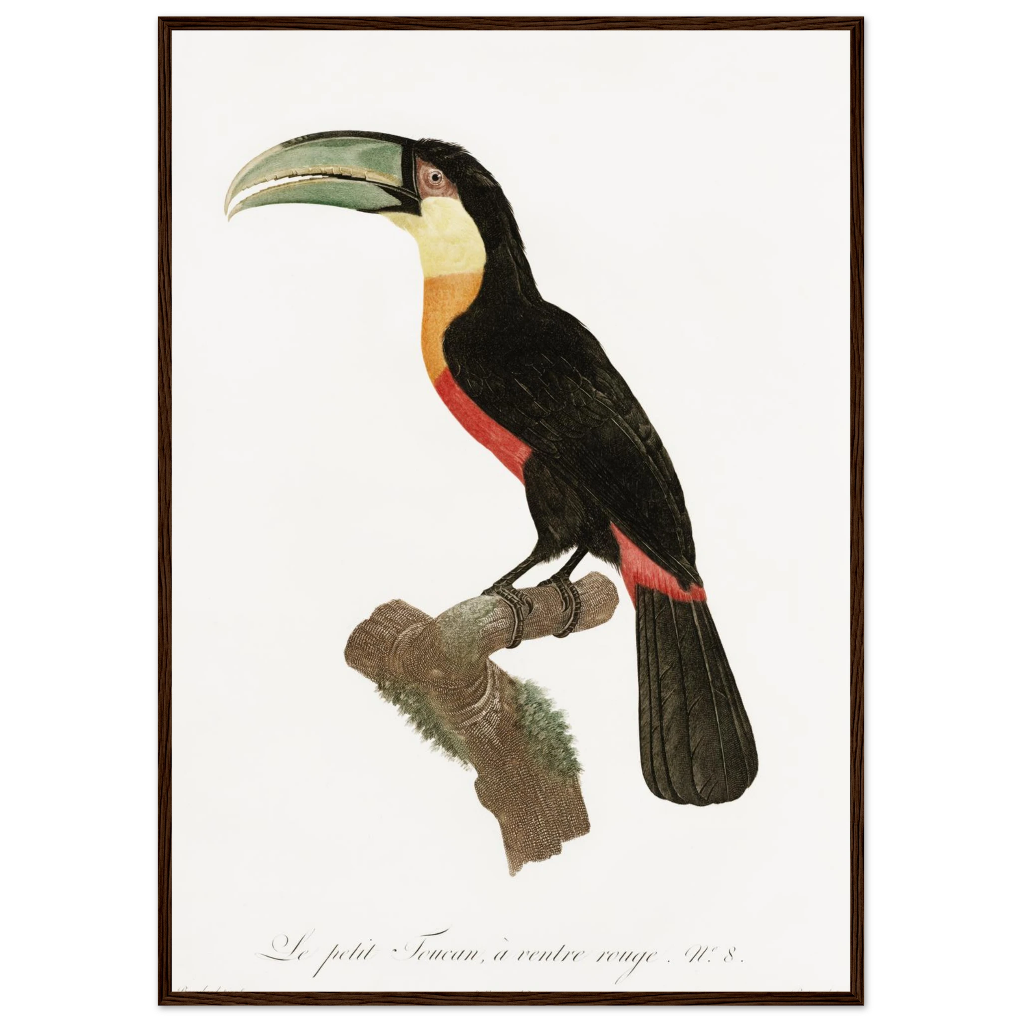 b313ba11-710e-4c30-98f5-3be31e0566fe