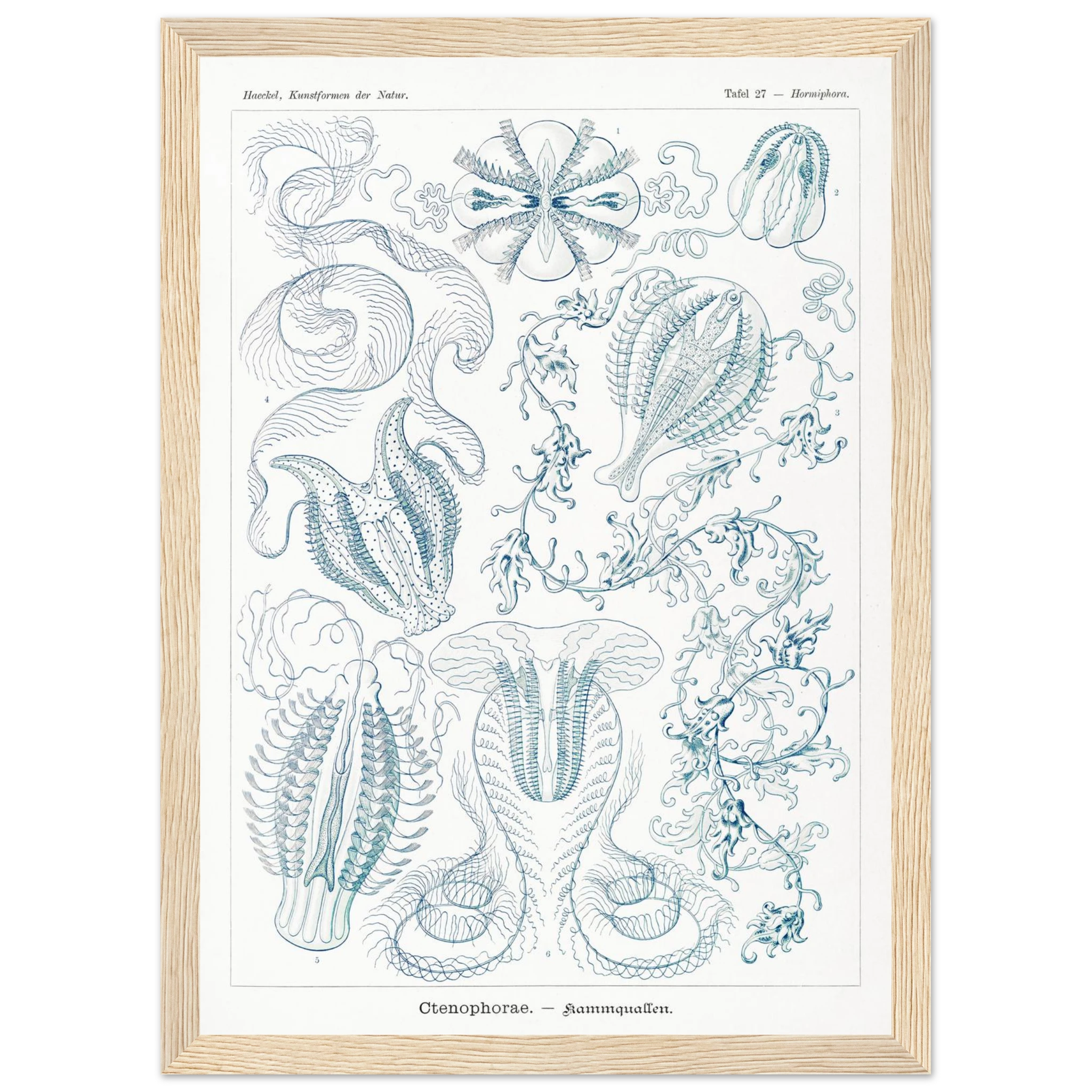 b3497039-b628-42a1-b0c8-0ffe12221d5c