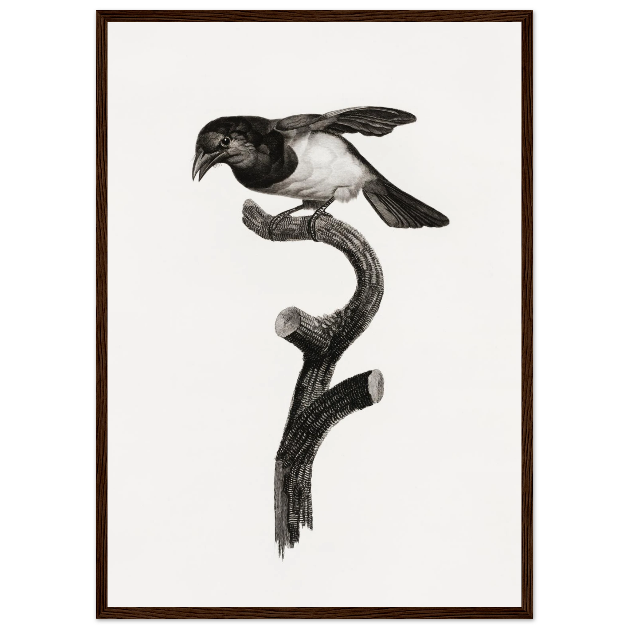 b37433dc-a49c-4dad-b52e-0a170fffdb09