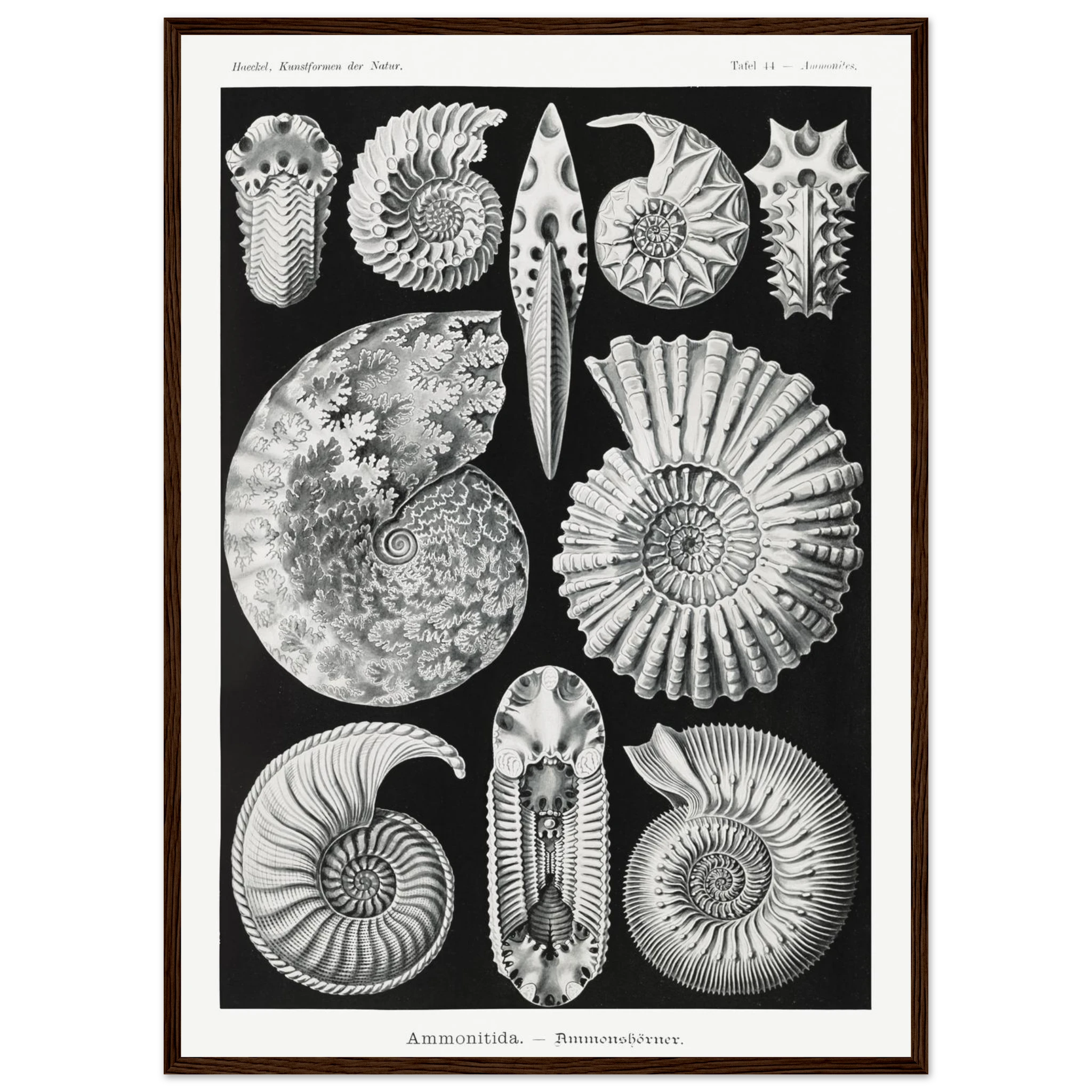 b38369f7-416b-461c-a455-79cc495bd5d3