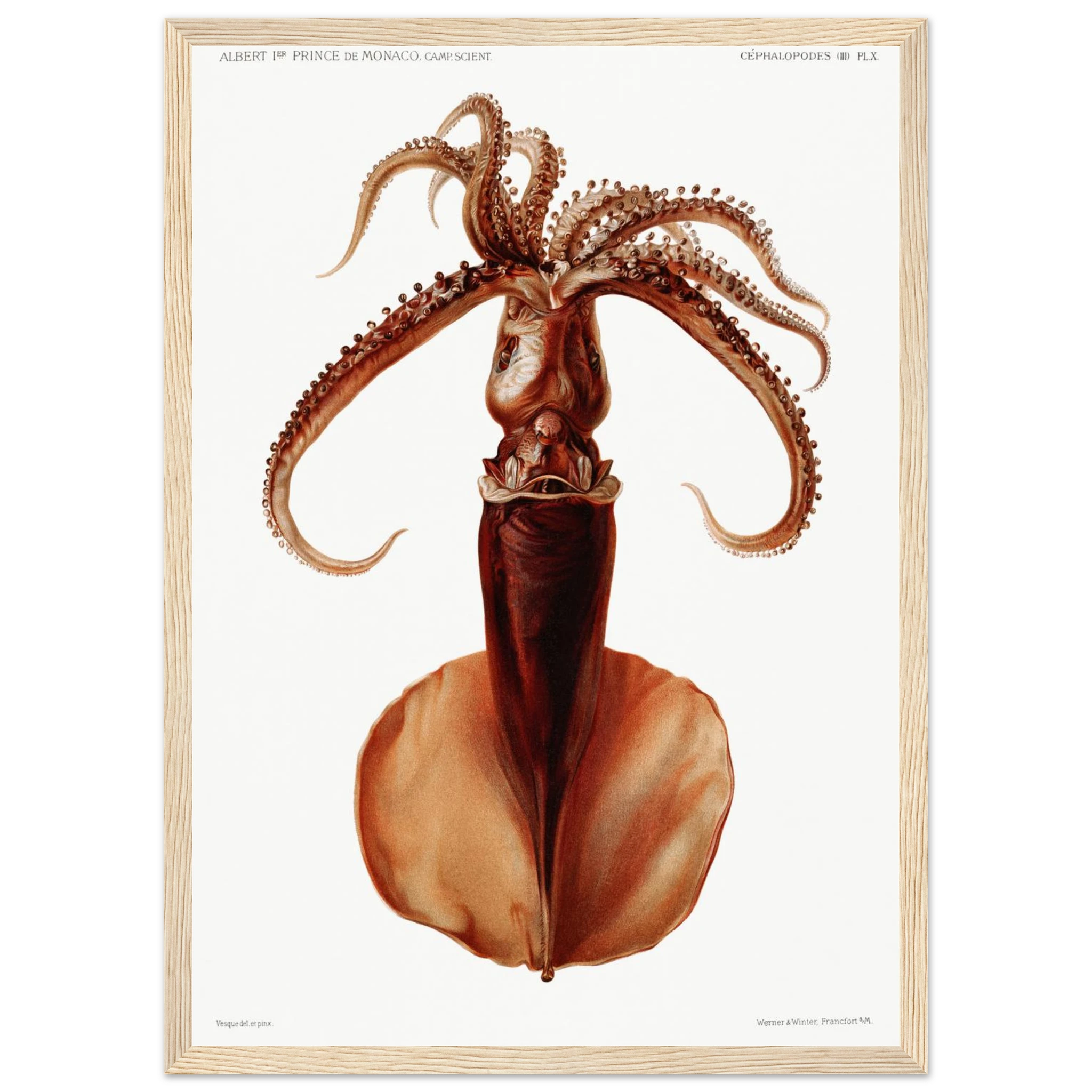 b392c4f9-ba8d-436c-a0b1-b841464dfb42