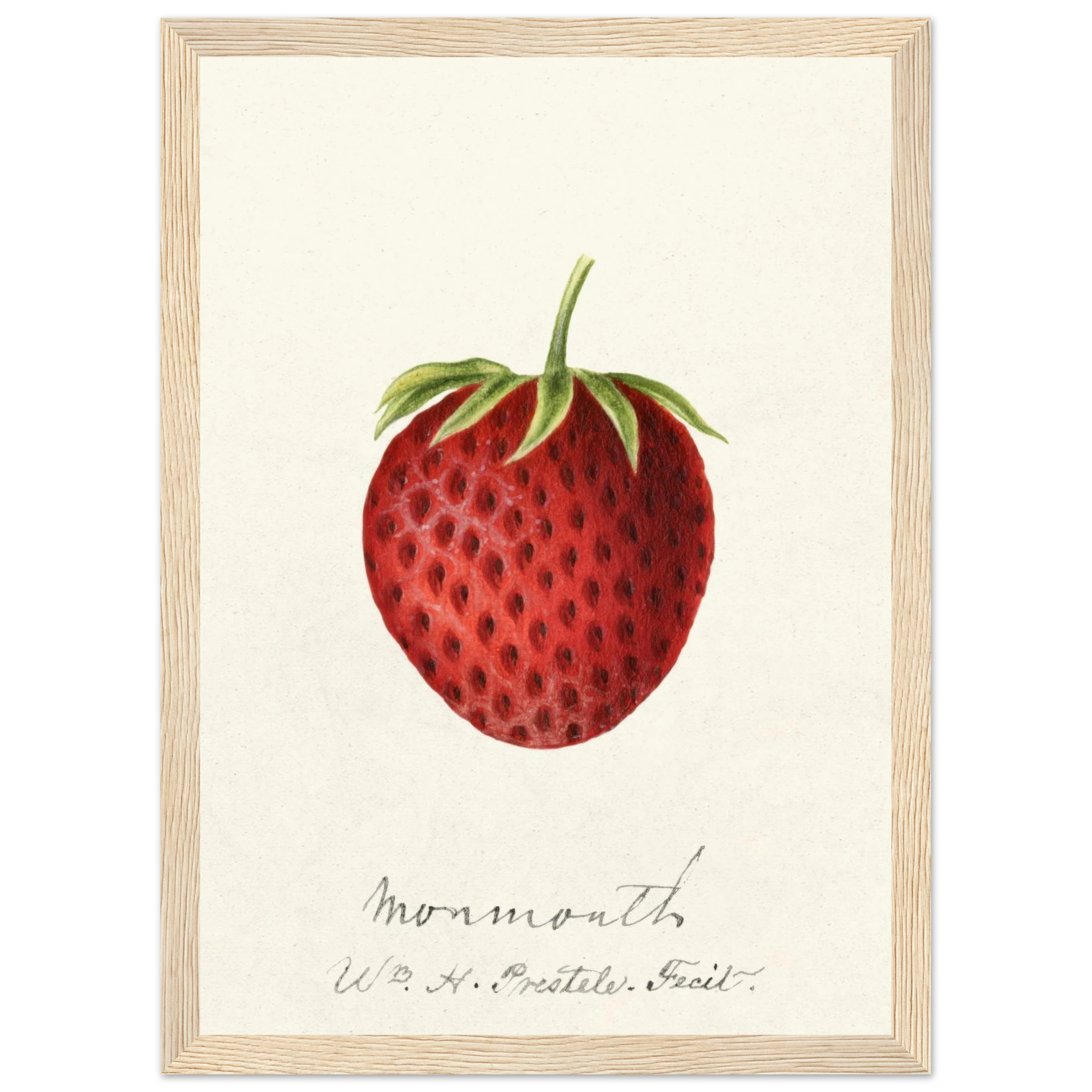 b3cea386-67bd-4d0d-a9d0-4bcfb1f95826