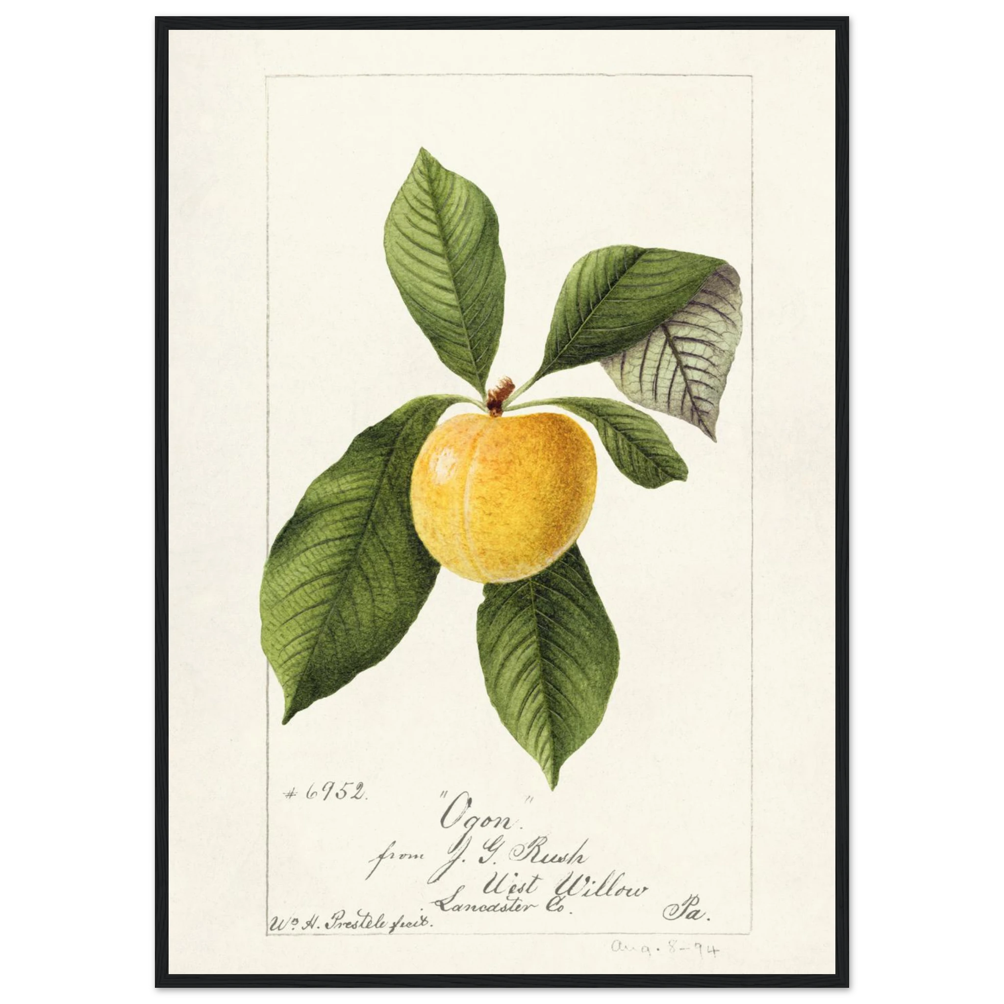 b3df9dc2-7954-4a26-b6a3-3d216442cf6b