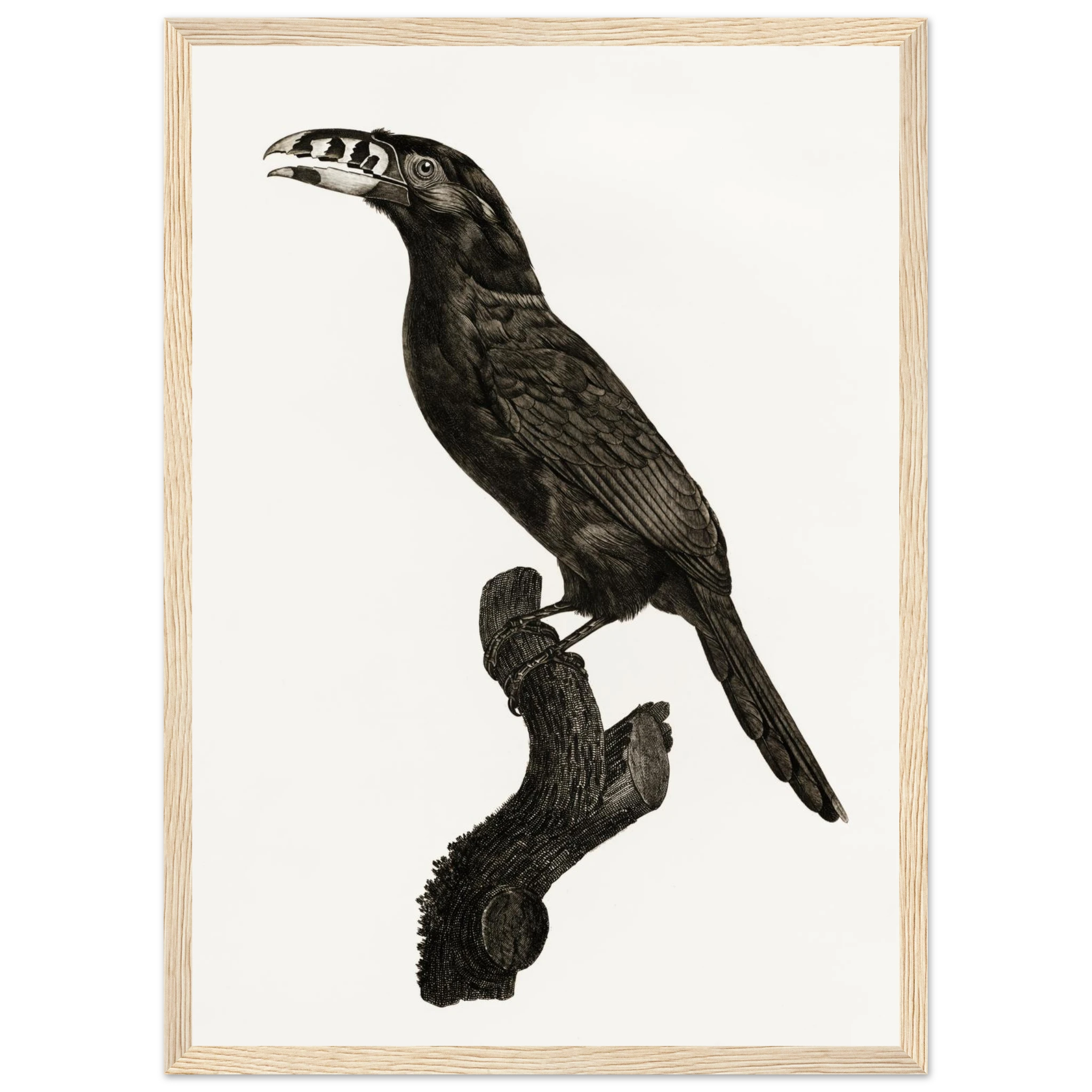 b3f27173-a33c-46e4-a362-62384331bbae