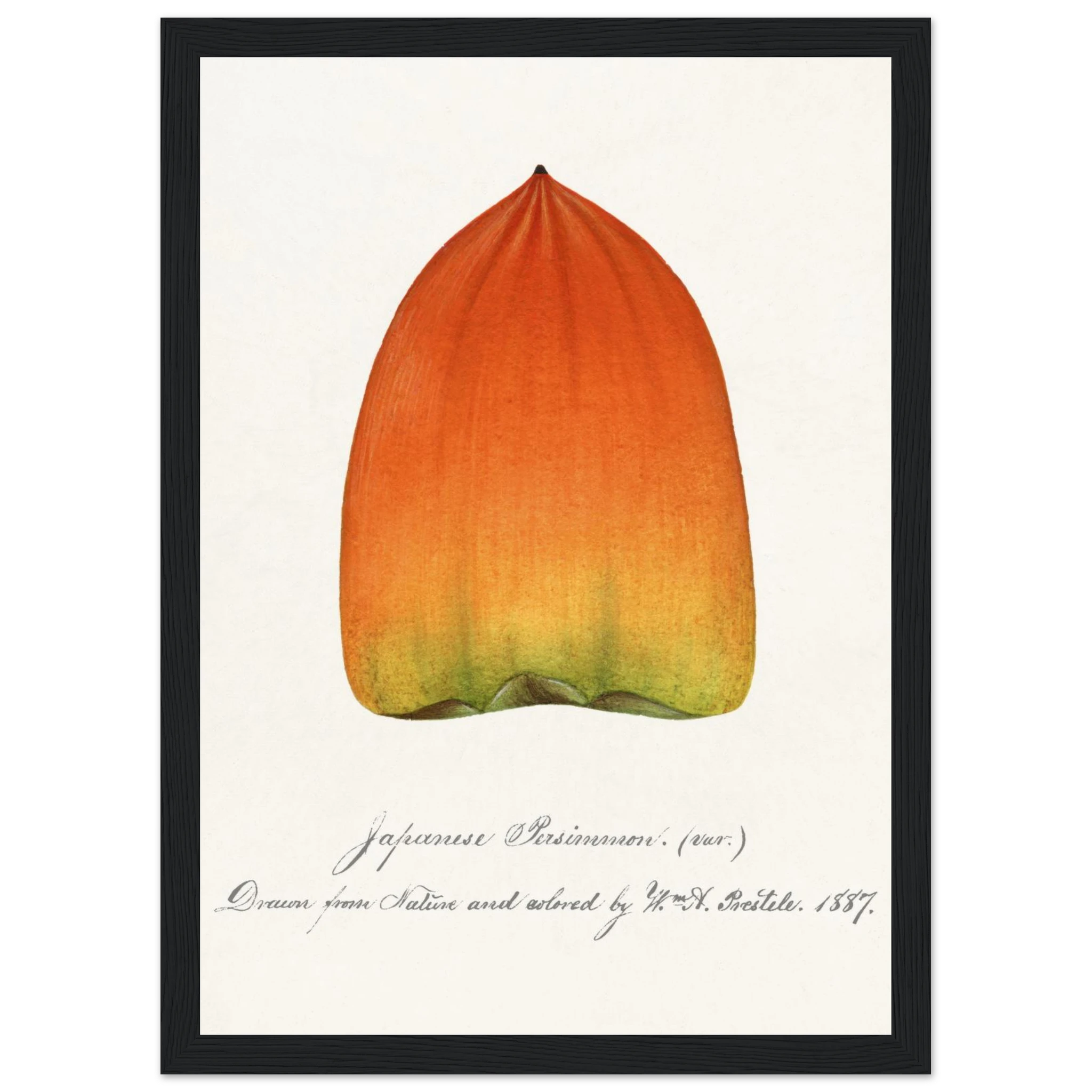 b4052143-4e3a-4051-bfd8-b5662522c3c5