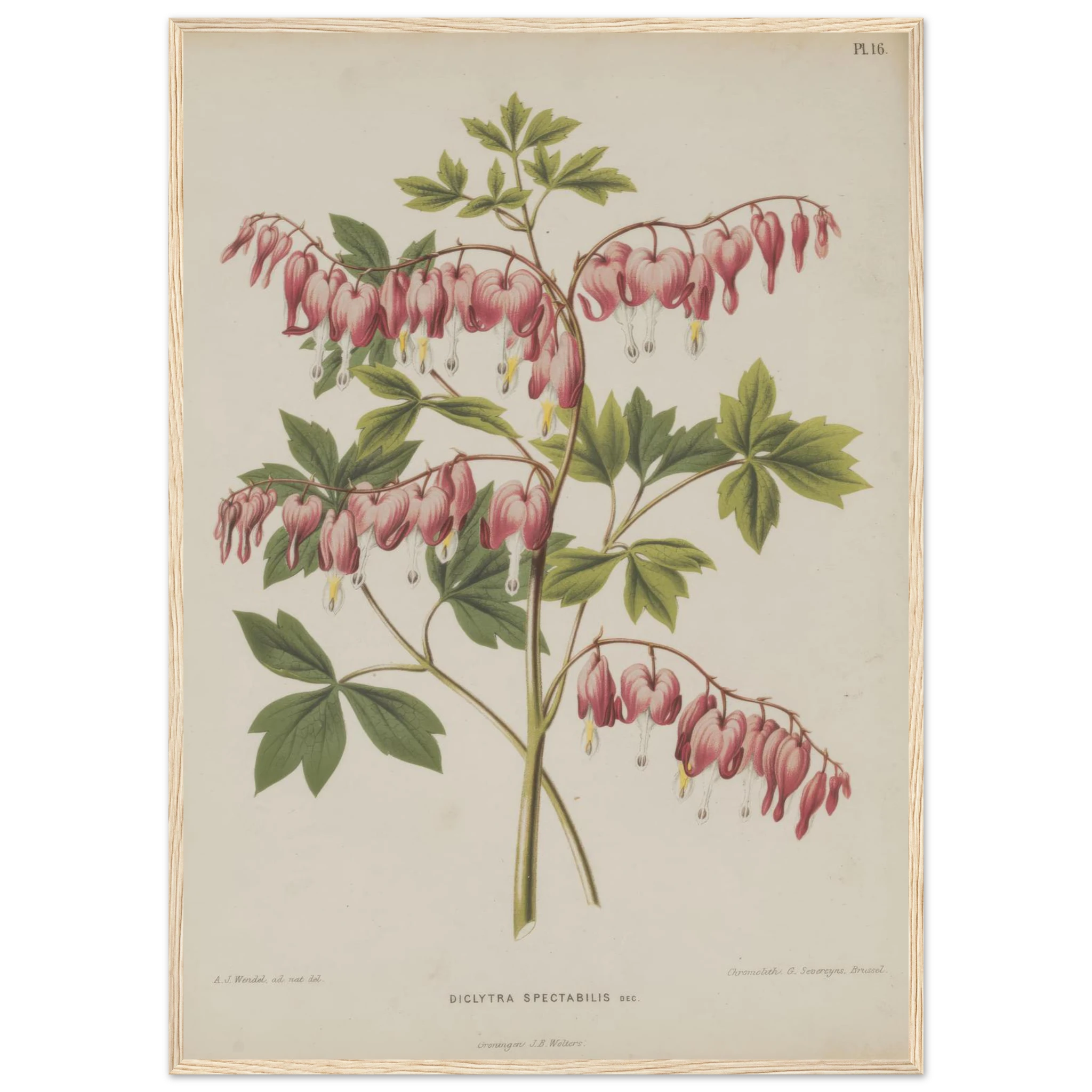 b44bb0cb-9acc-4349-867d-735f1e806d9e