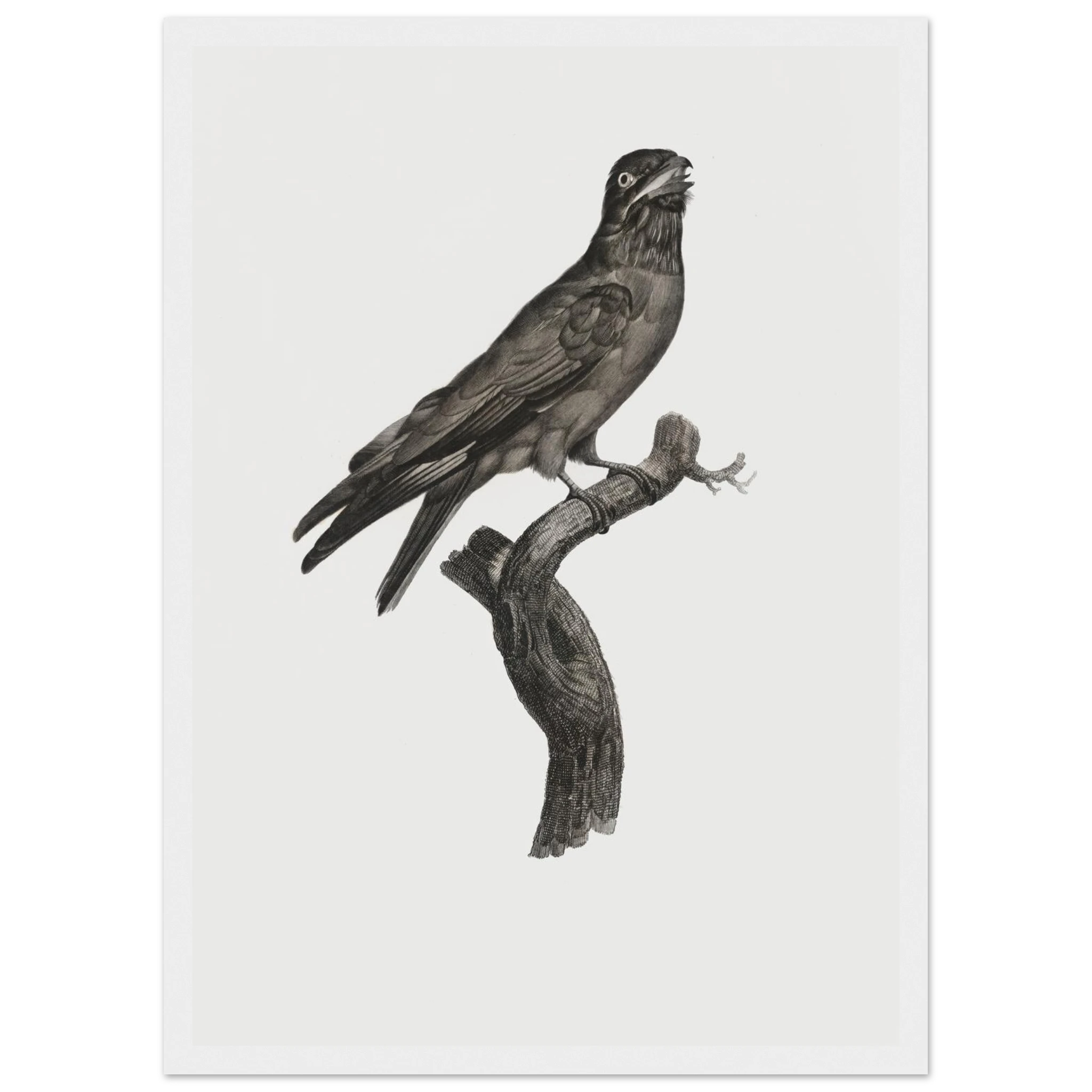 b4cb1818-4acc-4ebb-b0bd-84fcbee8a6f5