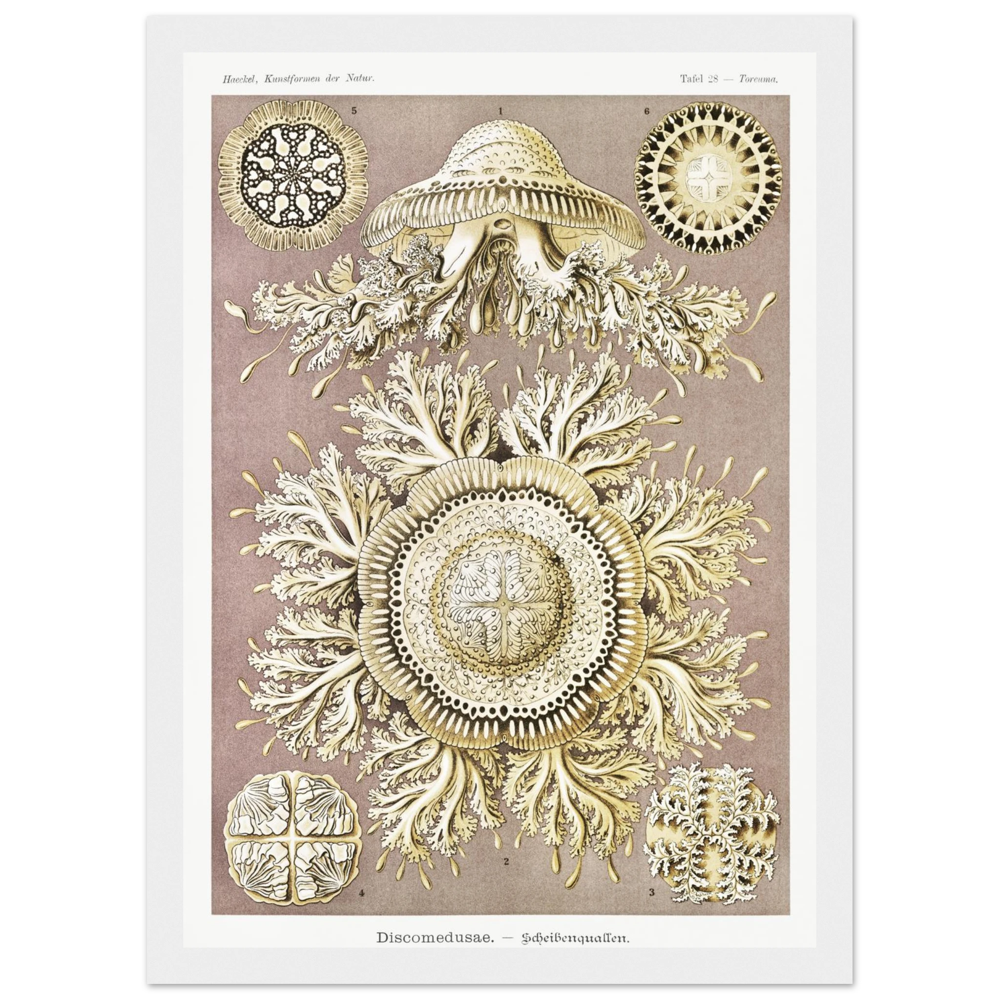 b4ff9efe-01f6-4ea8-aead-84c3963797cd