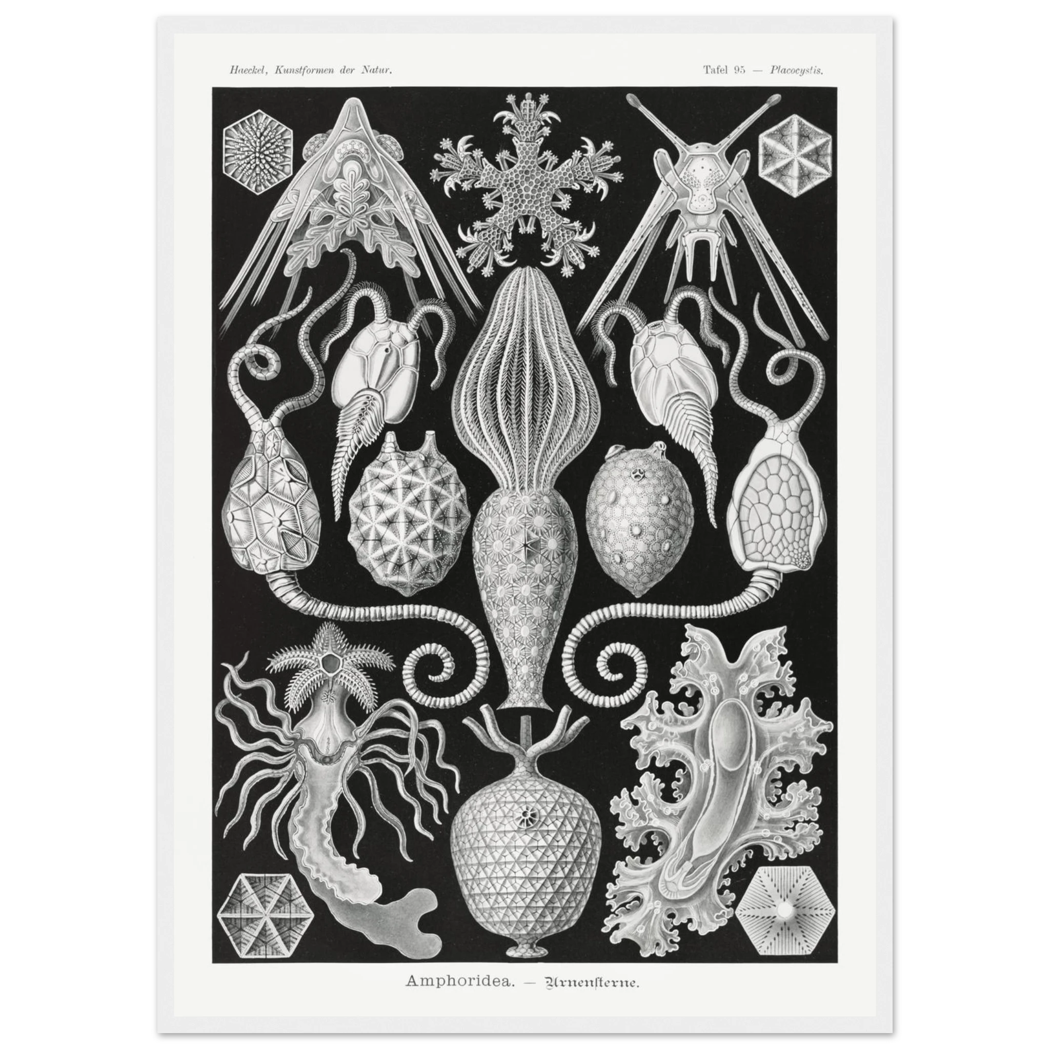 b53d8676-2c73-4516-a630-f241830d3d2c