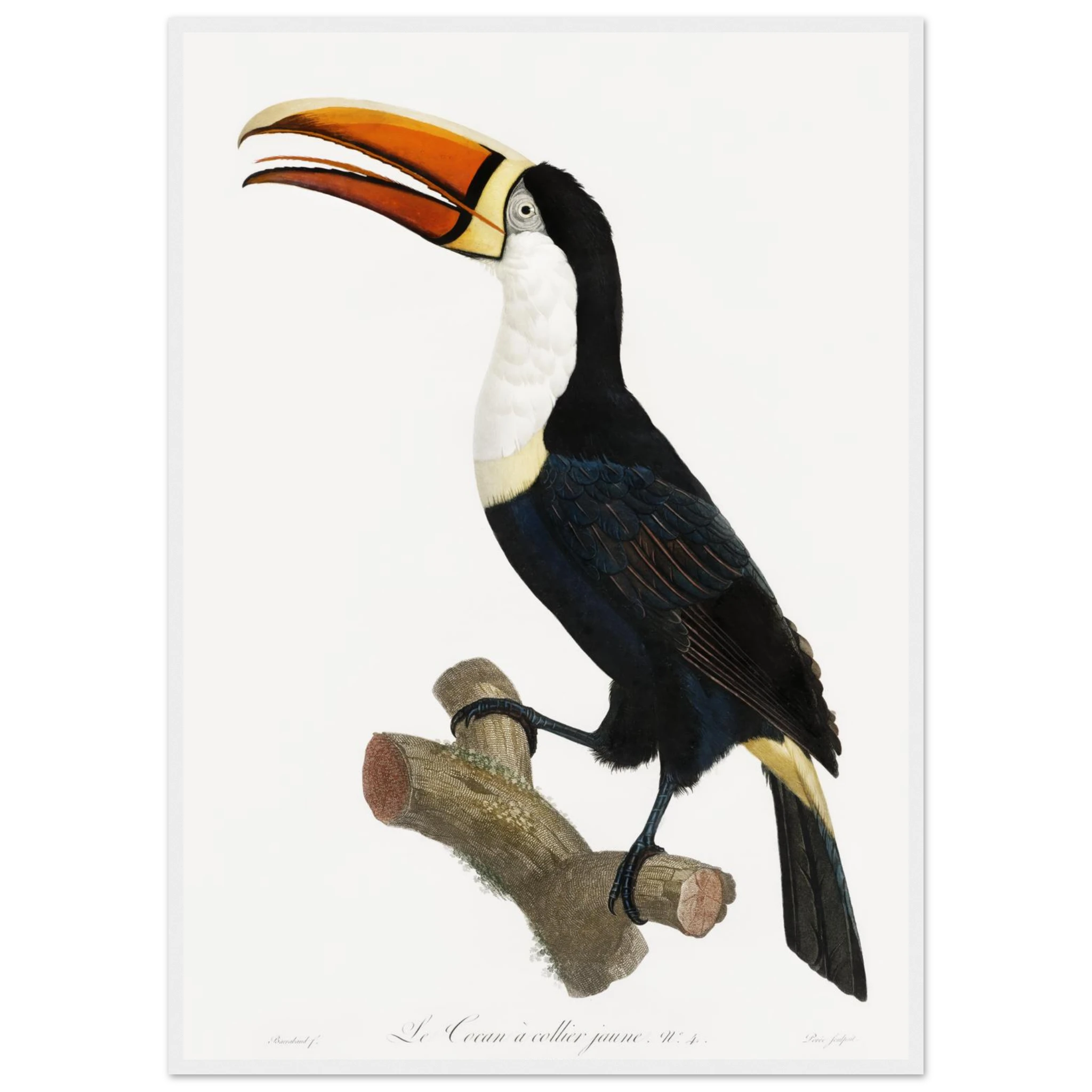 b54a6083-b06f-4949-8c57-7f89d7daeddf