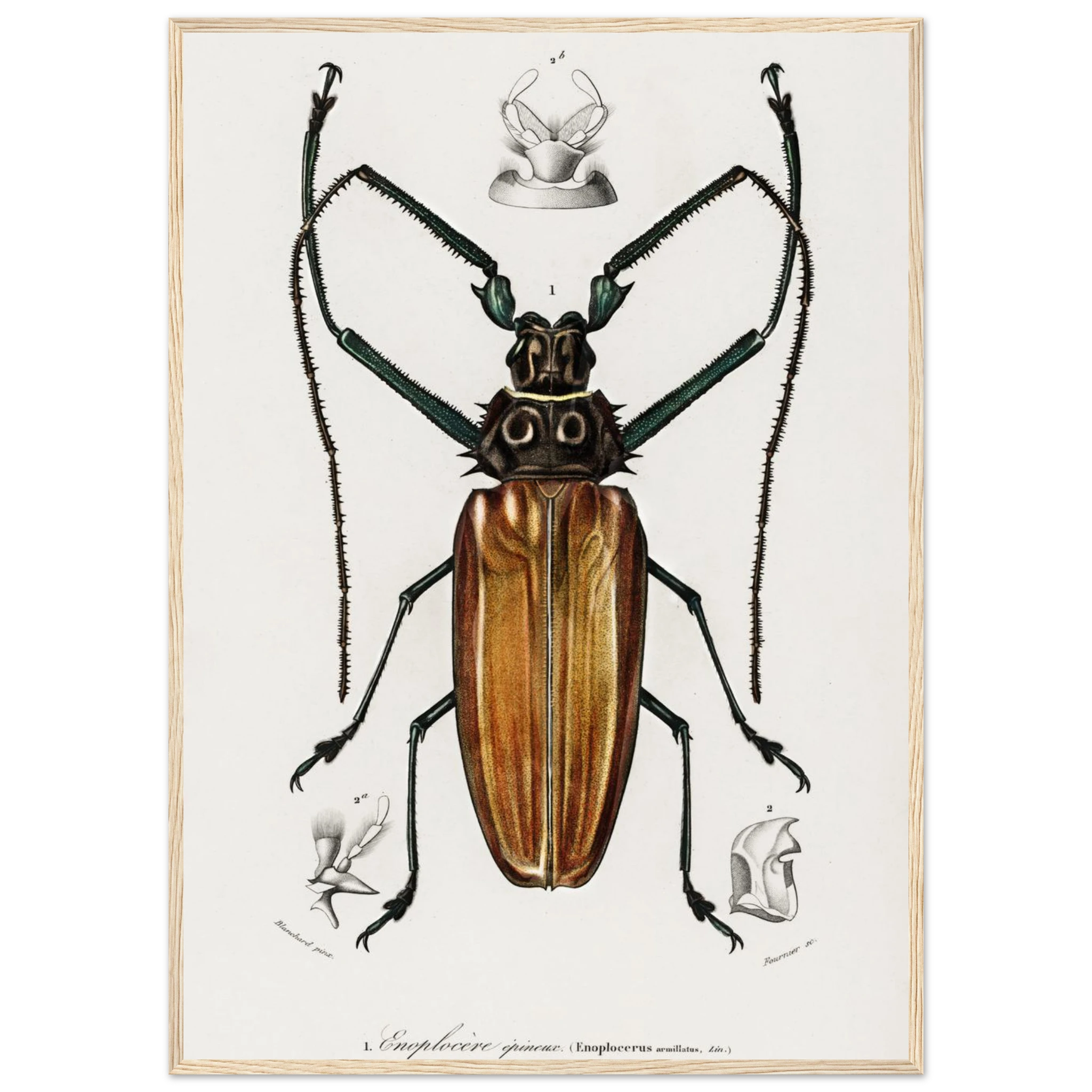 b558ecce-6266-4eed-87e5-cdf1bd903255