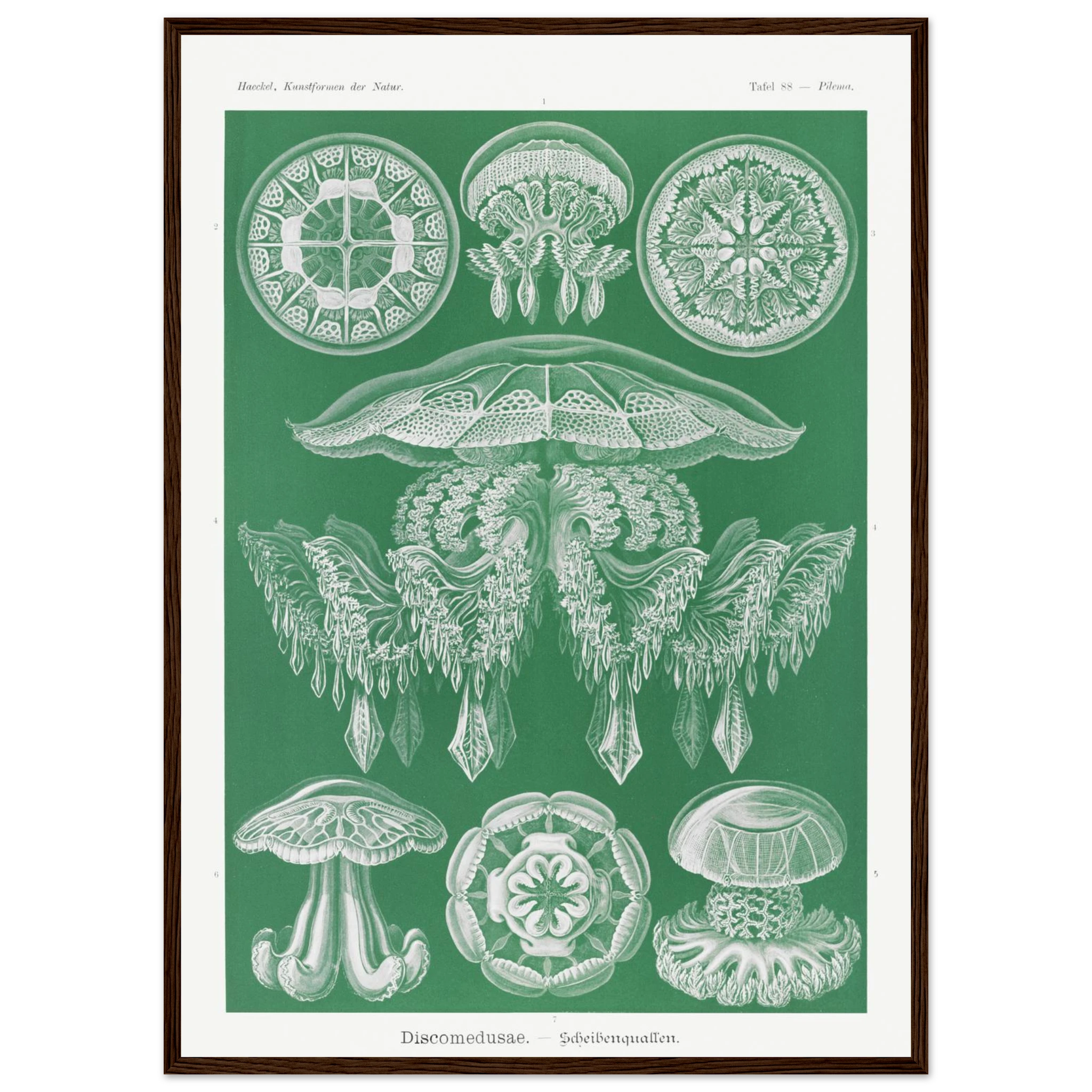 b56ba2ff-40e9-4a51-b044-bb18a12e40f8