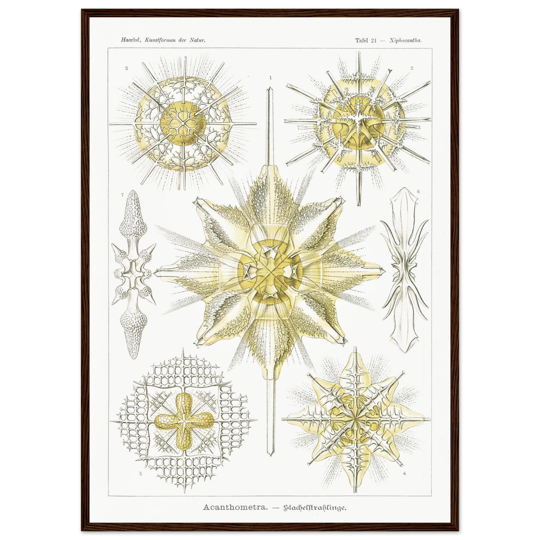 b57642c5-fe76-423c-87c3-59e502e84f29