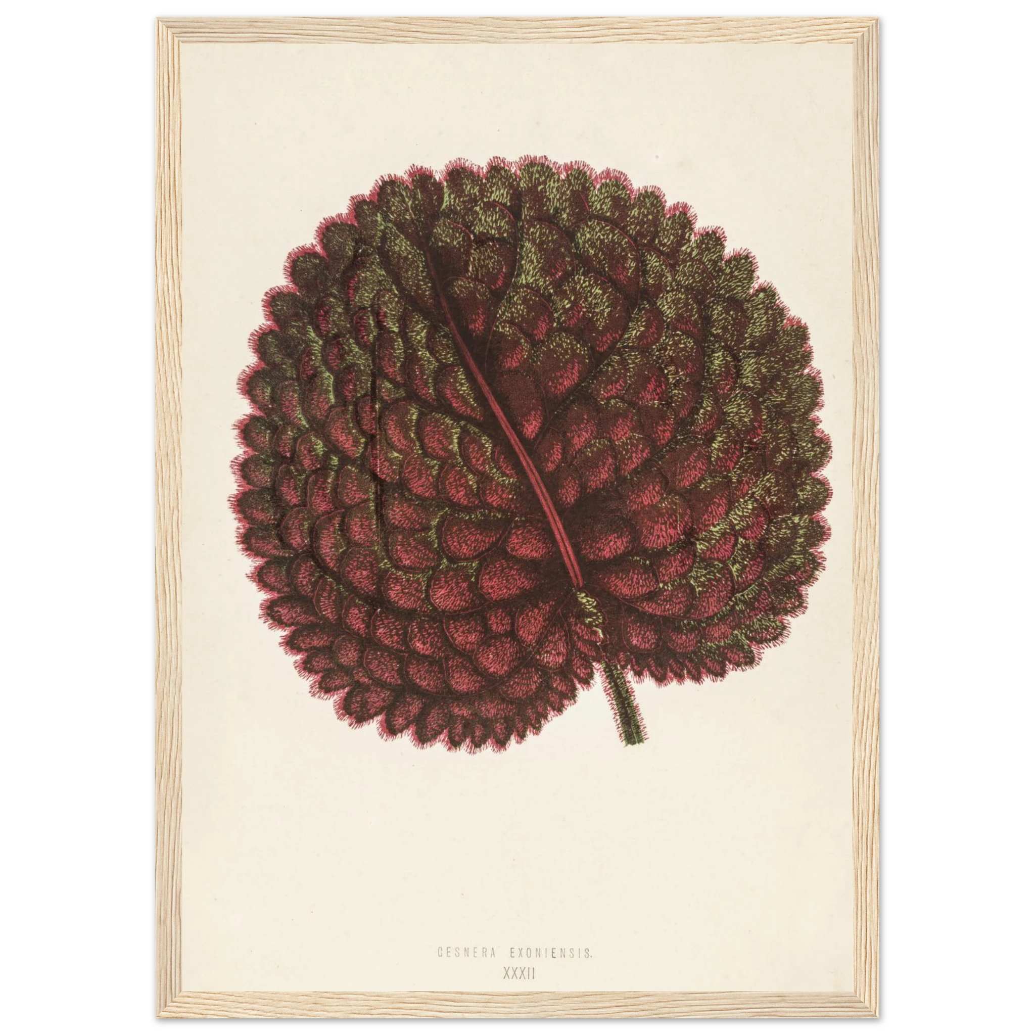 b5cf482f-143d-46dc-bb54-7ee6d3b39c0d