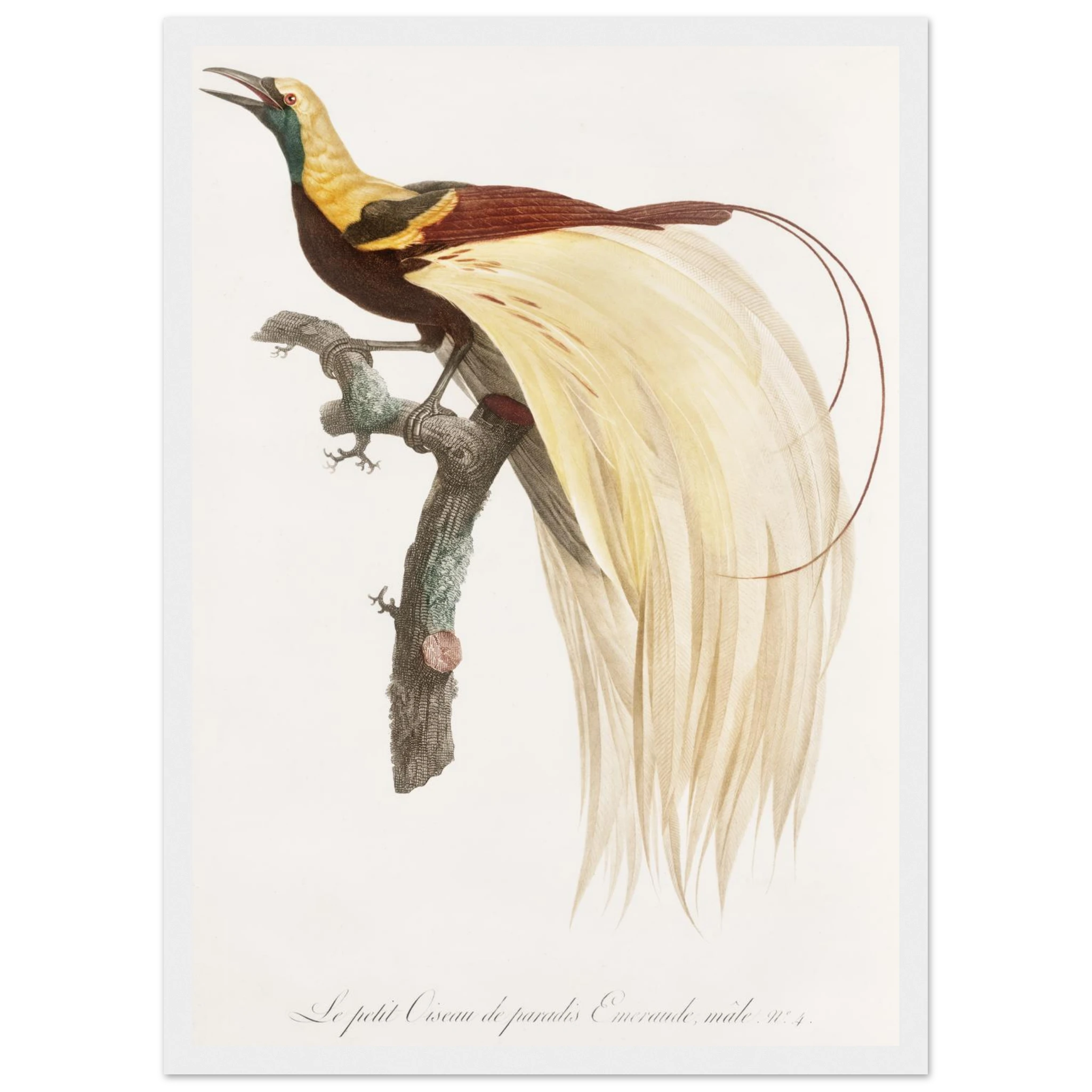 b61534e1-1ff0-4ecd-813e-aa3b3321f3dc