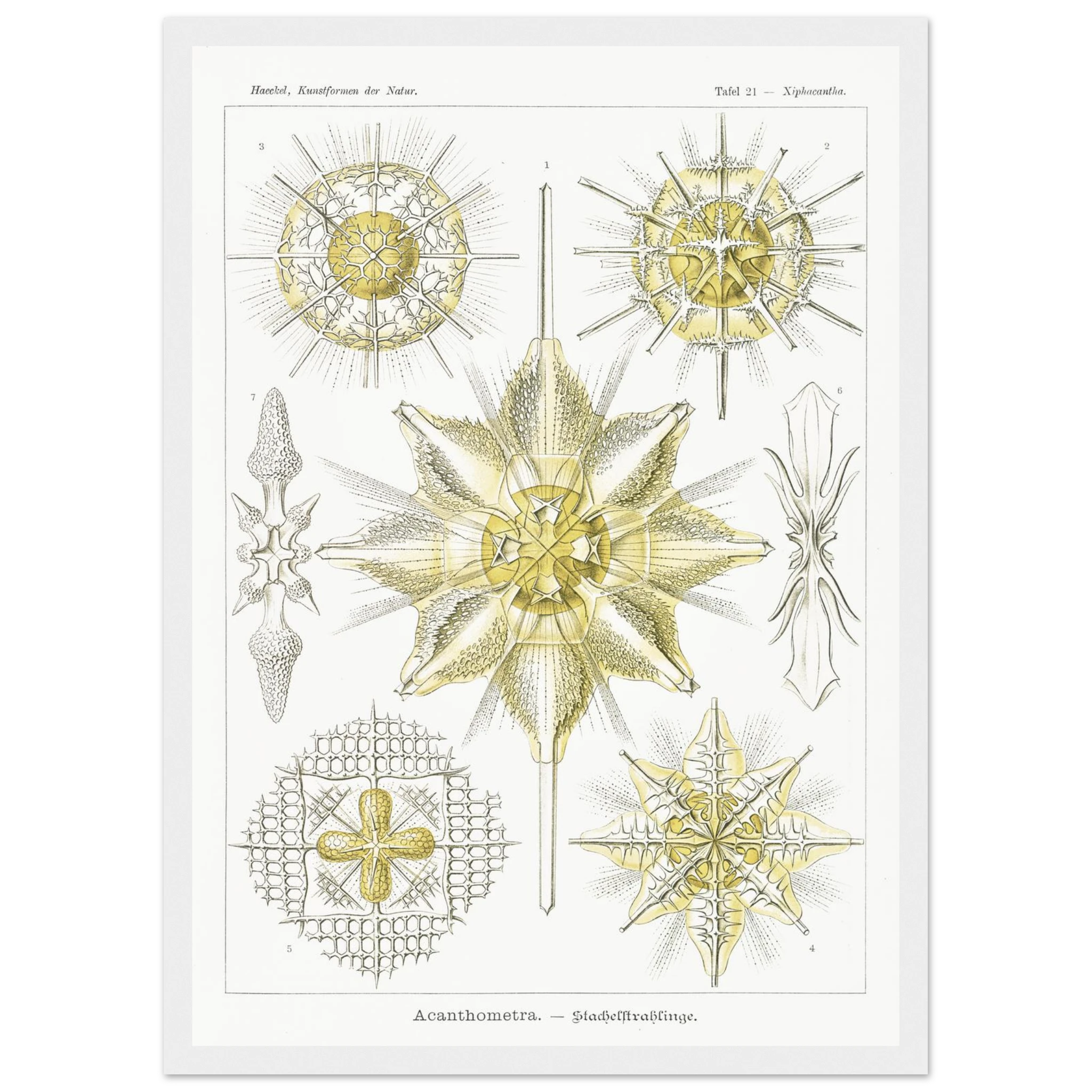 b692c7d4-3670-4933-86de-e48baf4ba91f