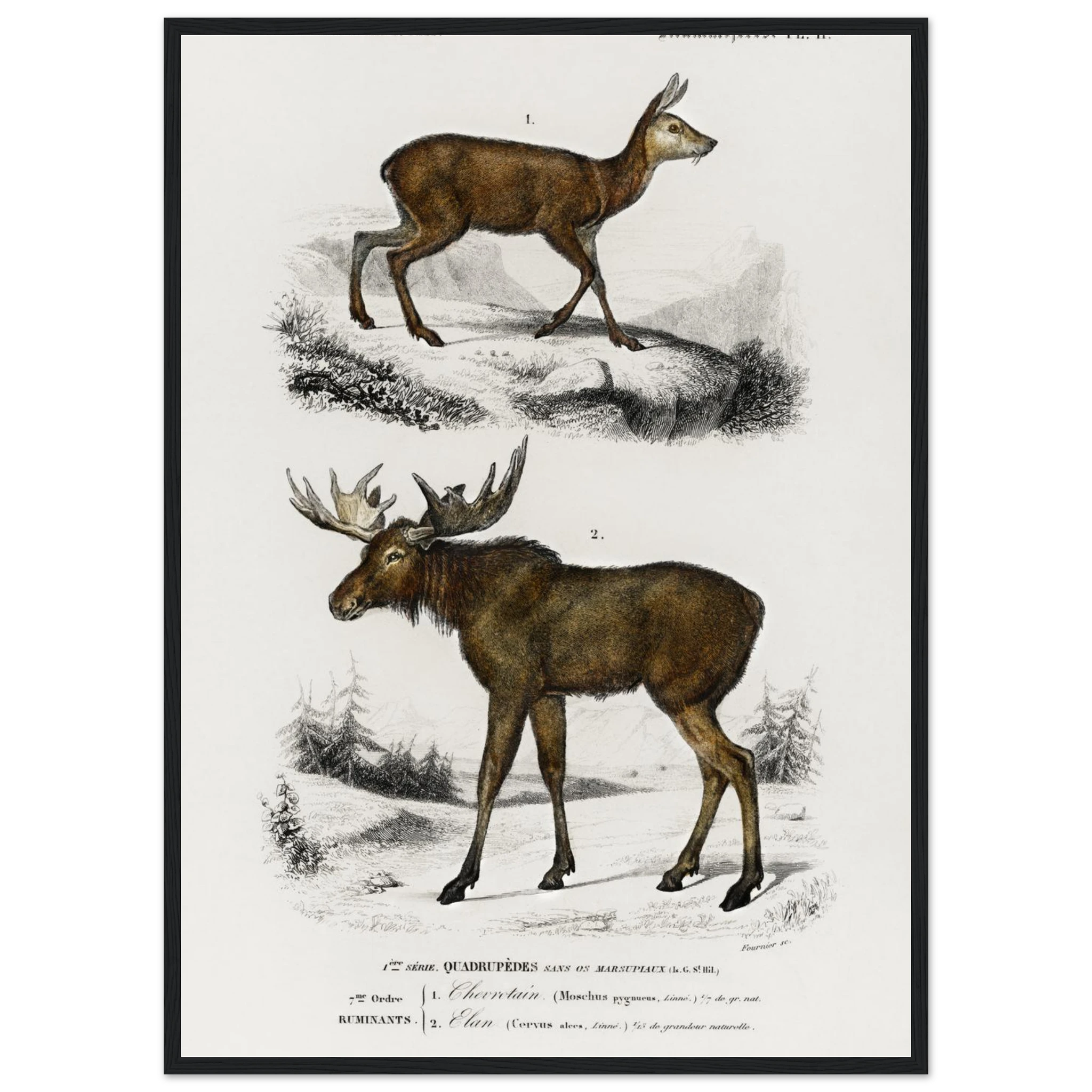 b6b796b8-39f8-4216-8367-84ce97b20009