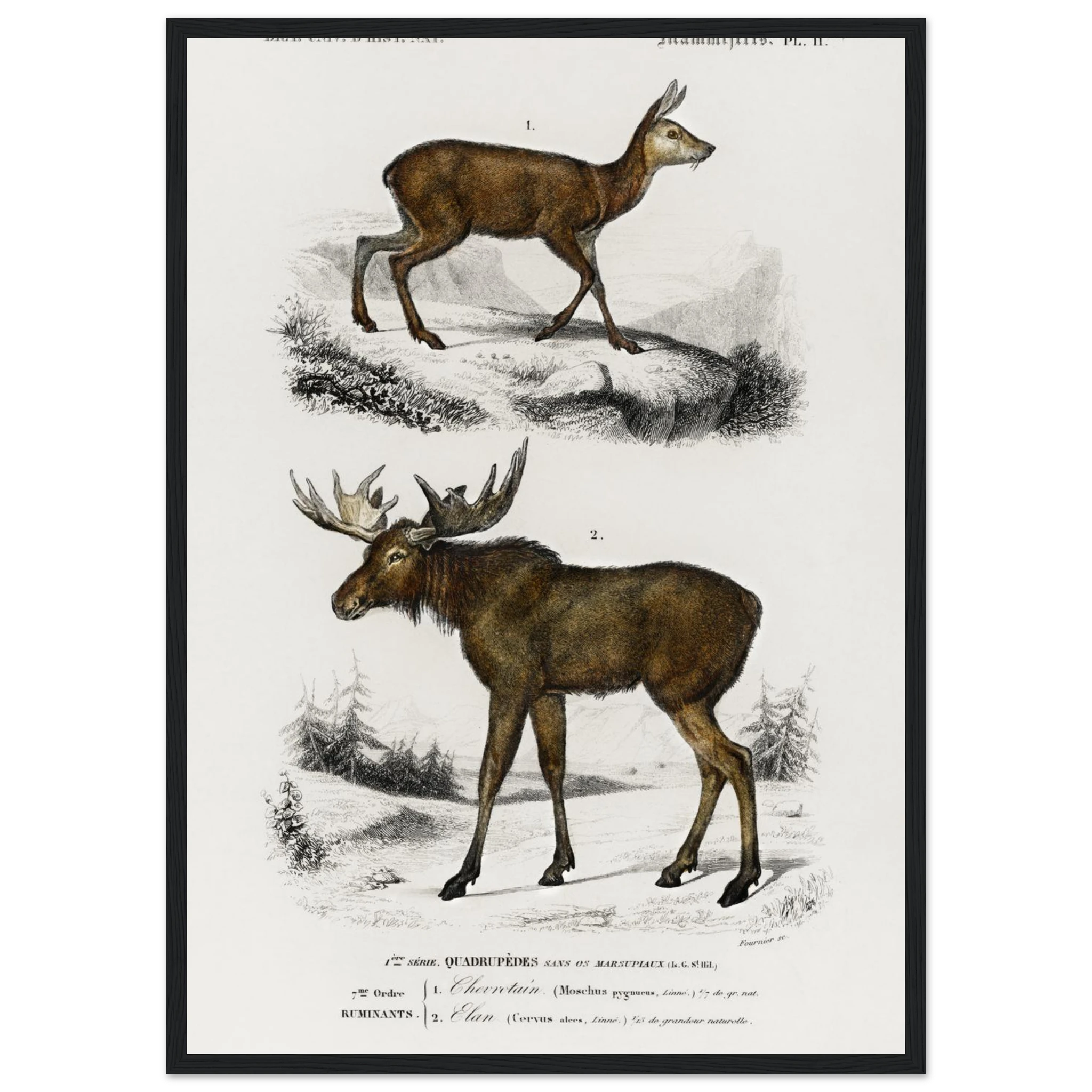 b6c41676-ed84-40b0-be07-26472ac59e3a